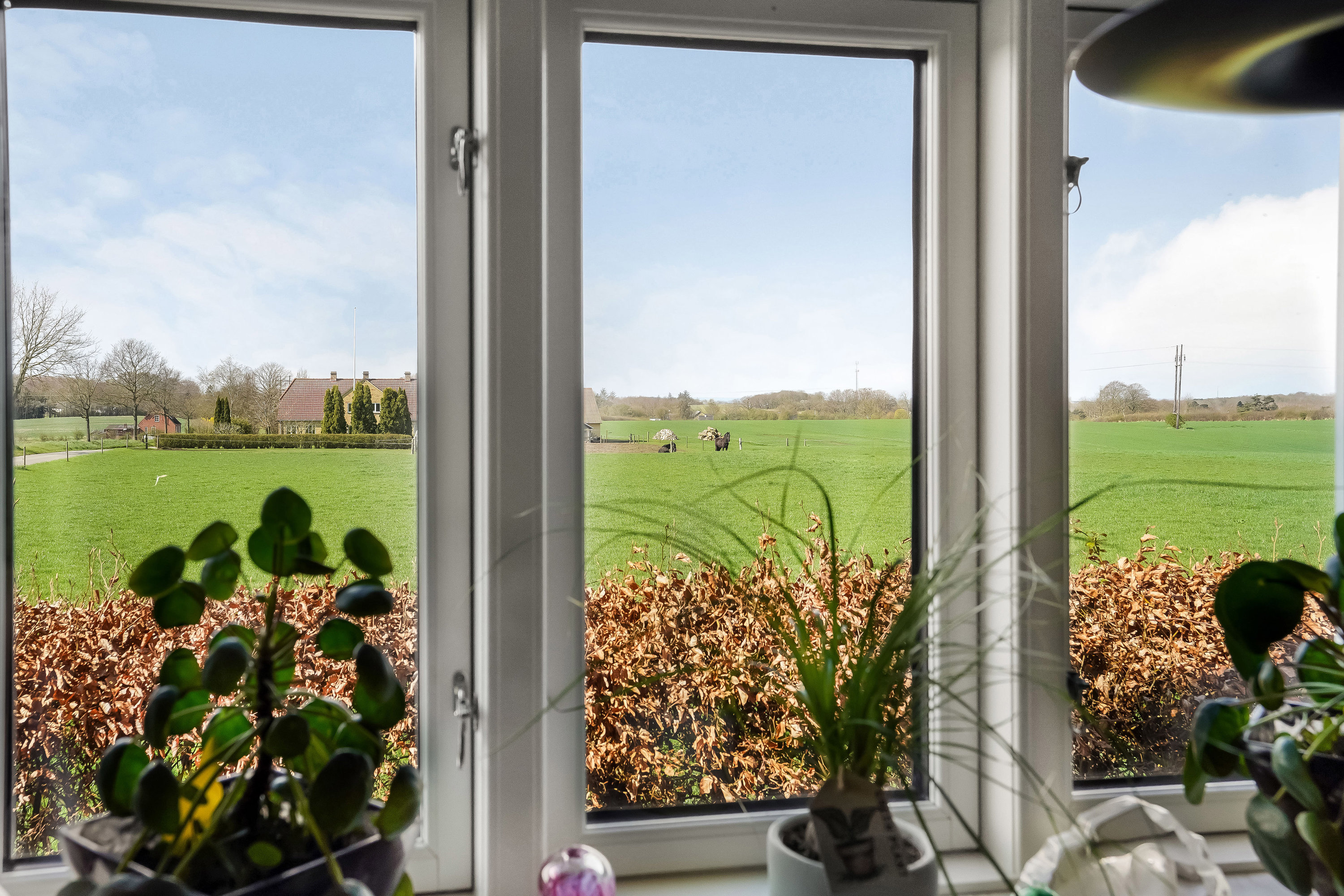 Fremhævet område billede i fuldskærmstilstand. Billede af Barløsevej 81, Barløse, 5610 Assens