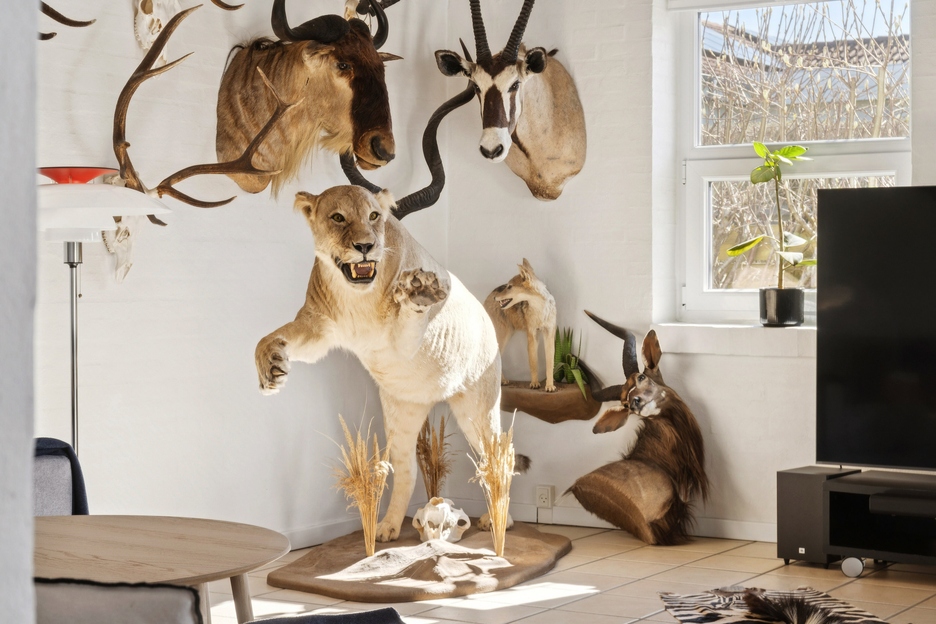 Fremhævet værelse billede i fuldskærmstilstand. Billede af Bygmarken 16, 7730 Hanstholm