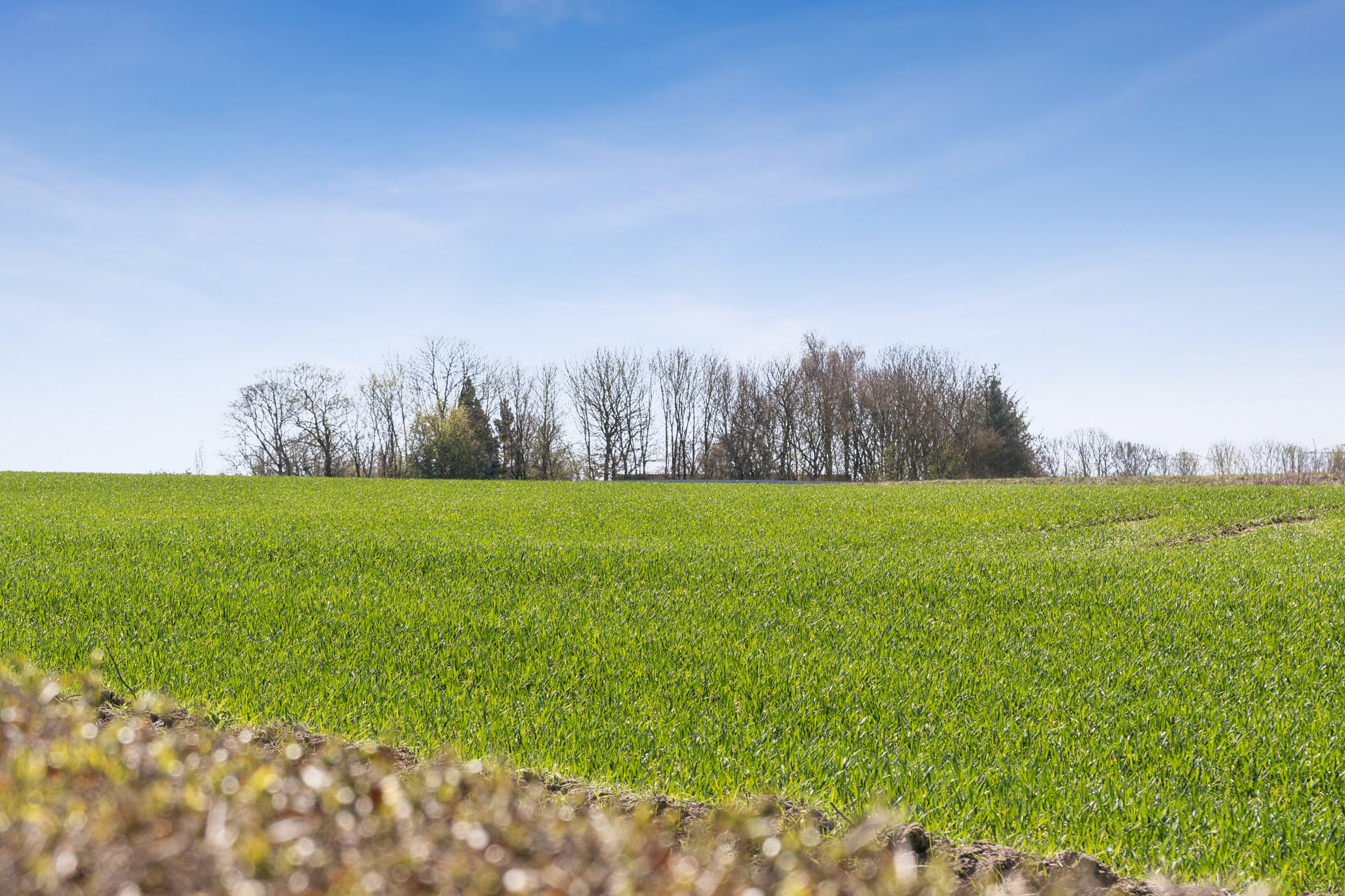 Fremhævet omgivelser billede i fuldskærmstilstand. Billede af Mustrupvej 51, 8320 Mårslet