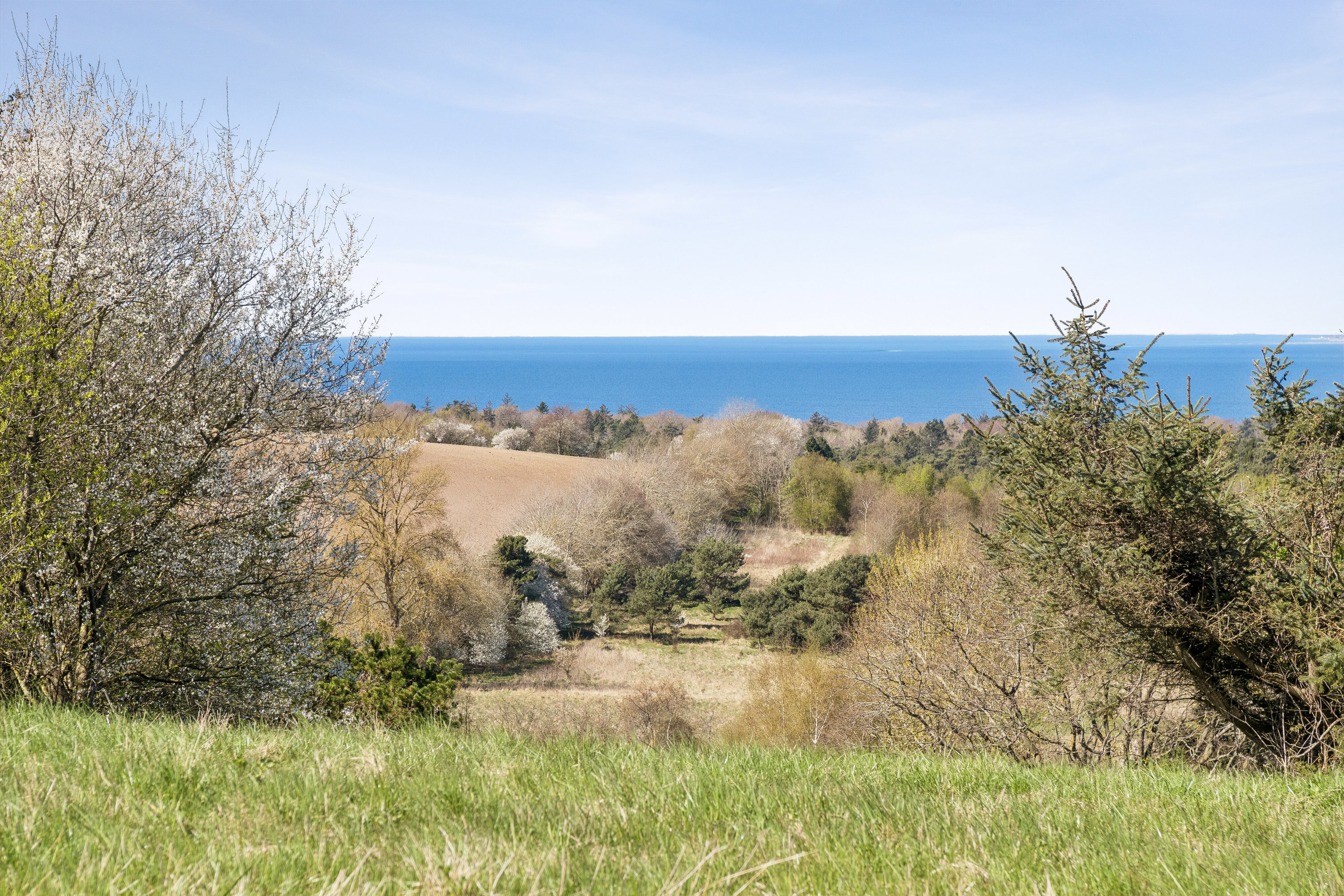 Fremhævet set fra haven billede i fuldskærmstilstand. Billede af Nissestien 29, Kårup, 4540 Fårevejle