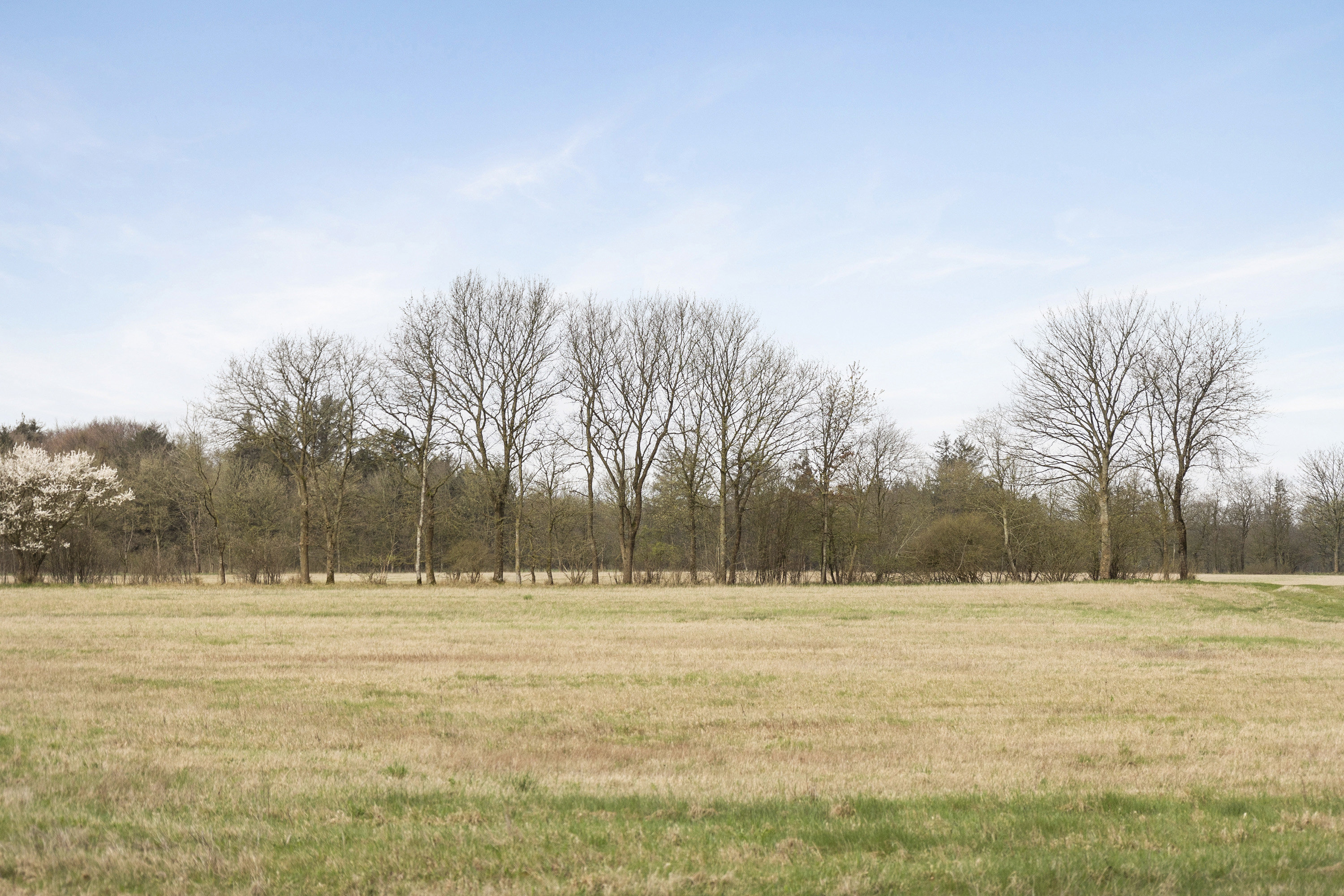 Fremhævet område billede i fuldskærmstilstand. Billede af Staushedevejen 8, 6621 Gesten