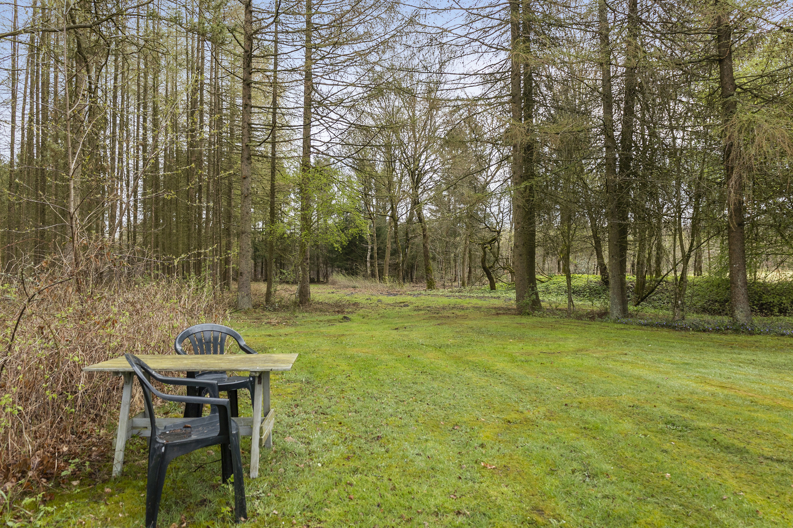 Fremhævet område billede i fuldskærmstilstand. Billede af Staushedevejen 8, 6621 Gesten