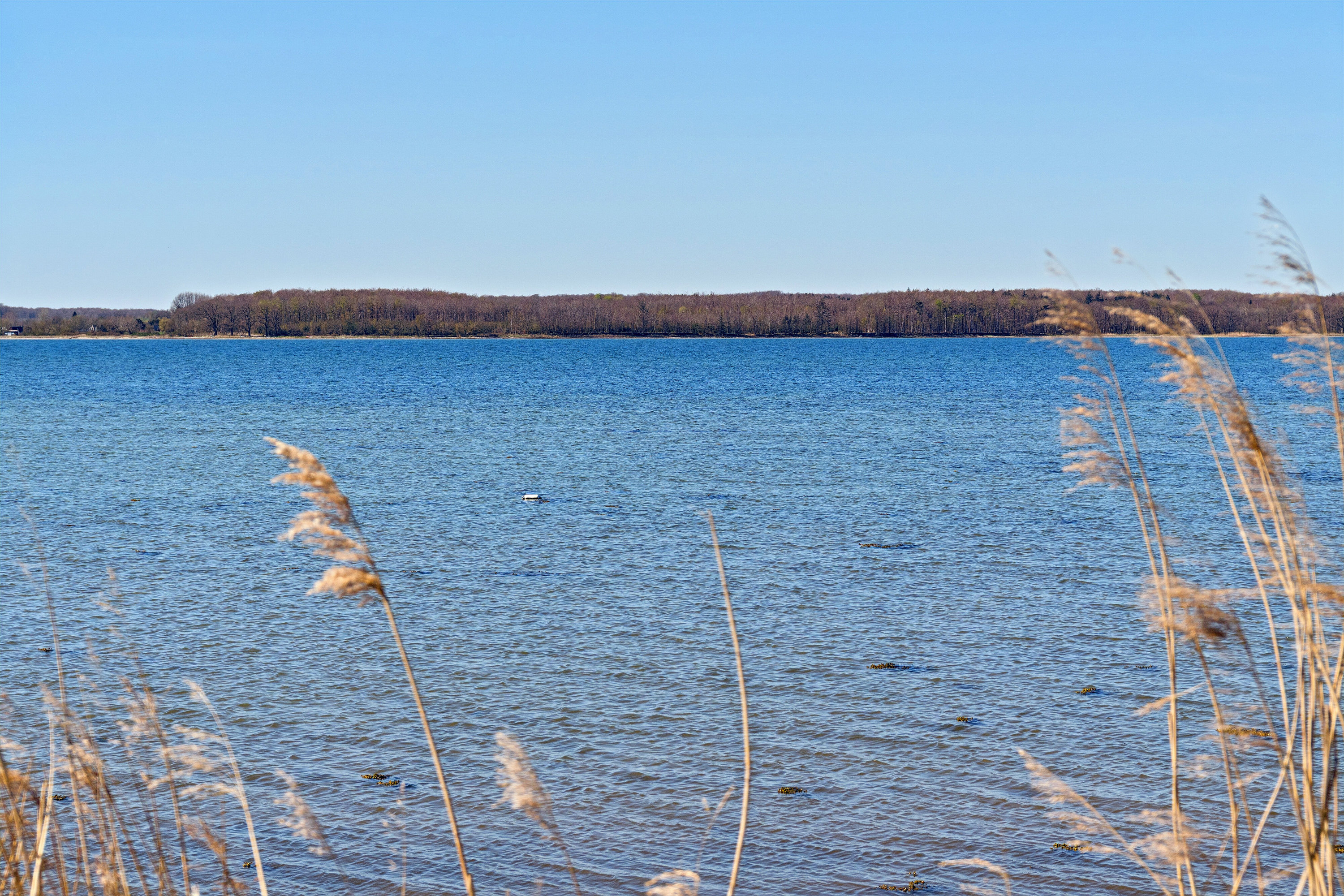 Fremhævet omgivelser billede i fuldskærmstilstand. Billede af Svingelvænget 12, Tåsinge, 5700 Svendborg