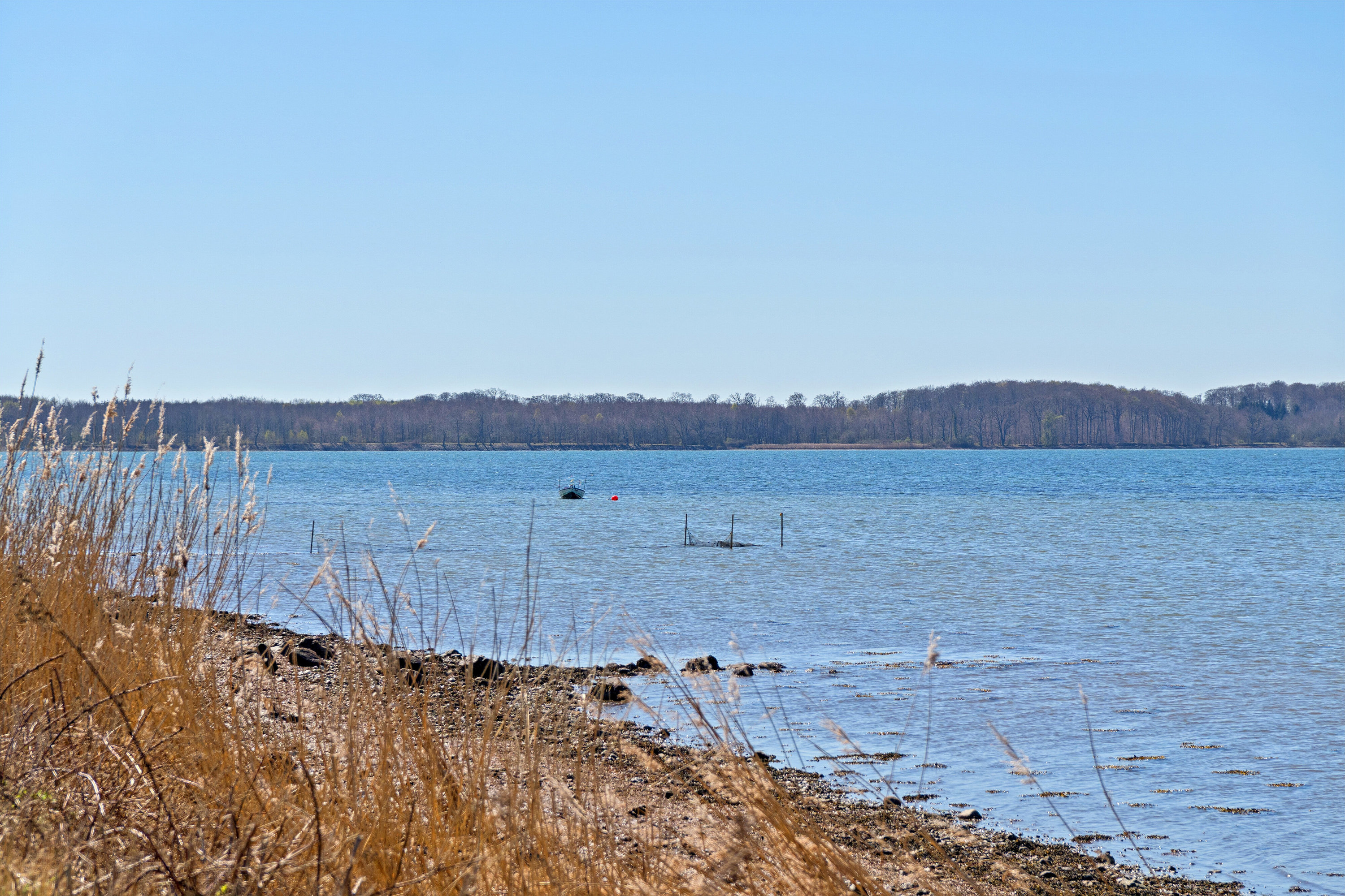 Fremhævet omgivelser billede i fuldskærmstilstand. Billede af Svingelvænget 12, Tåsinge, 5700 Svendborg
