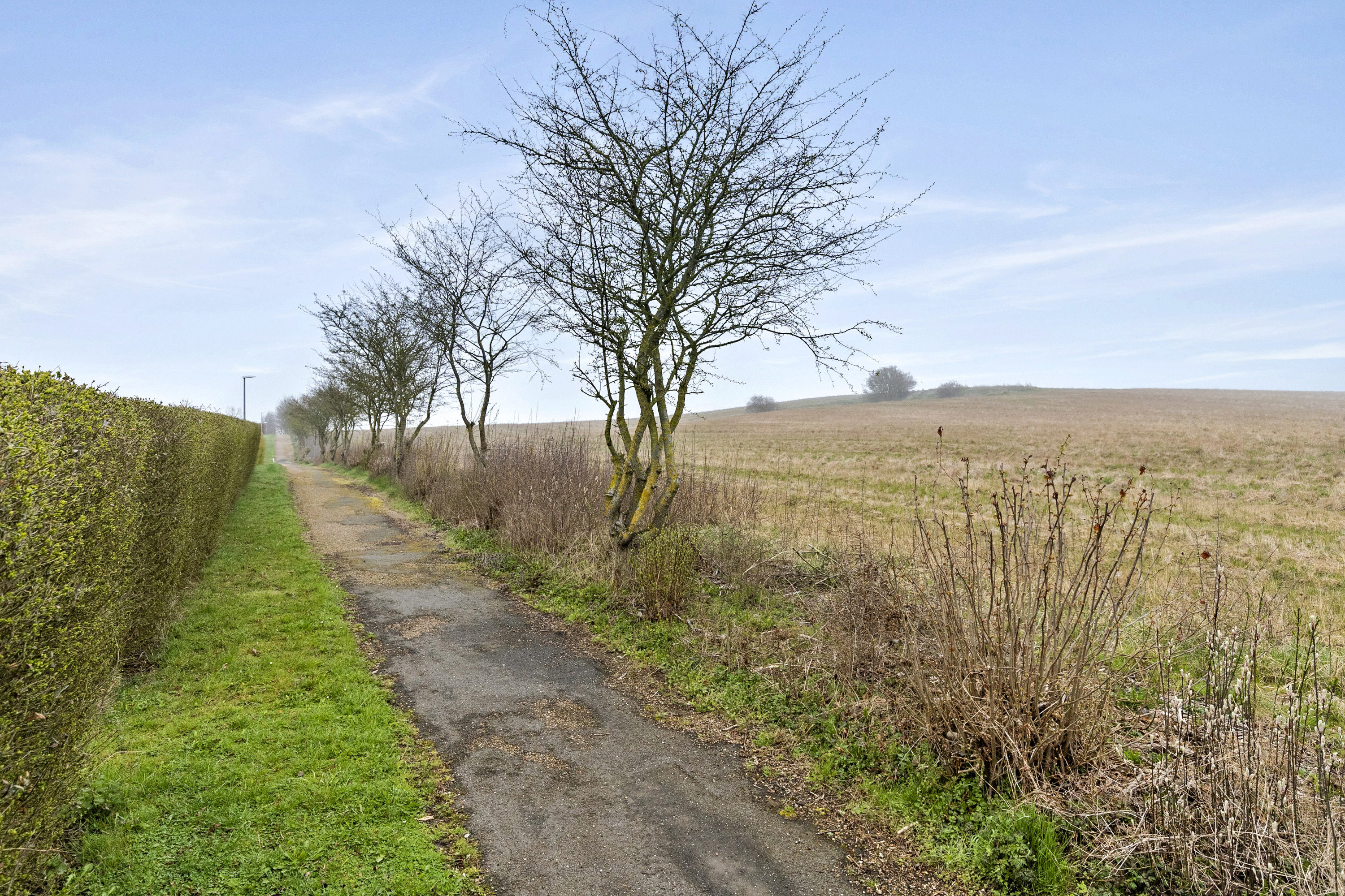 Fremhævet  billede i fuldskærmstilstand. Billede af Skovparken 76, 8783 Hornsyld