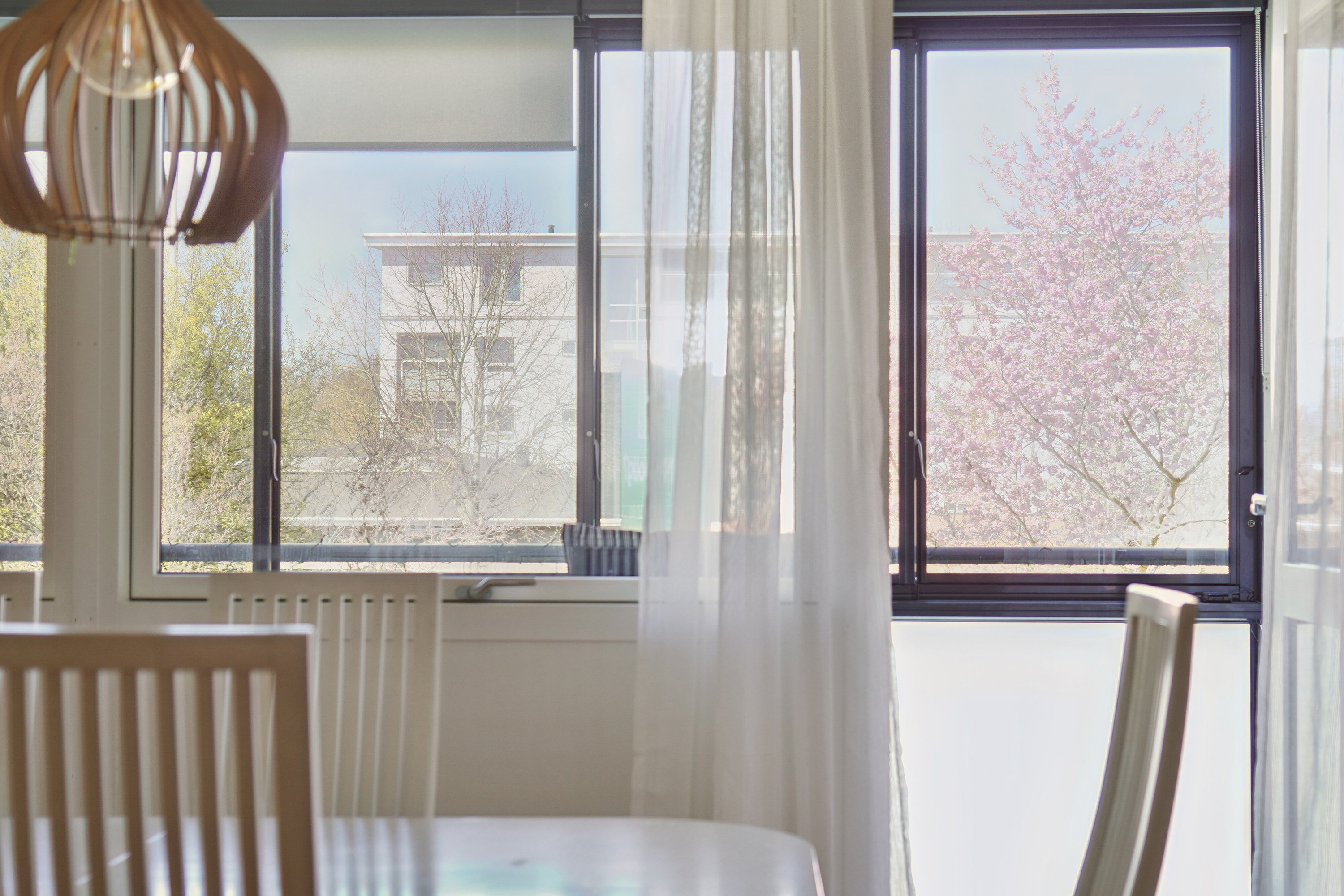 Fremhævet spisestue billede i fuldskærmstilstand. Billede af Ejboparken 39, st.. th., 4000 Roskilde