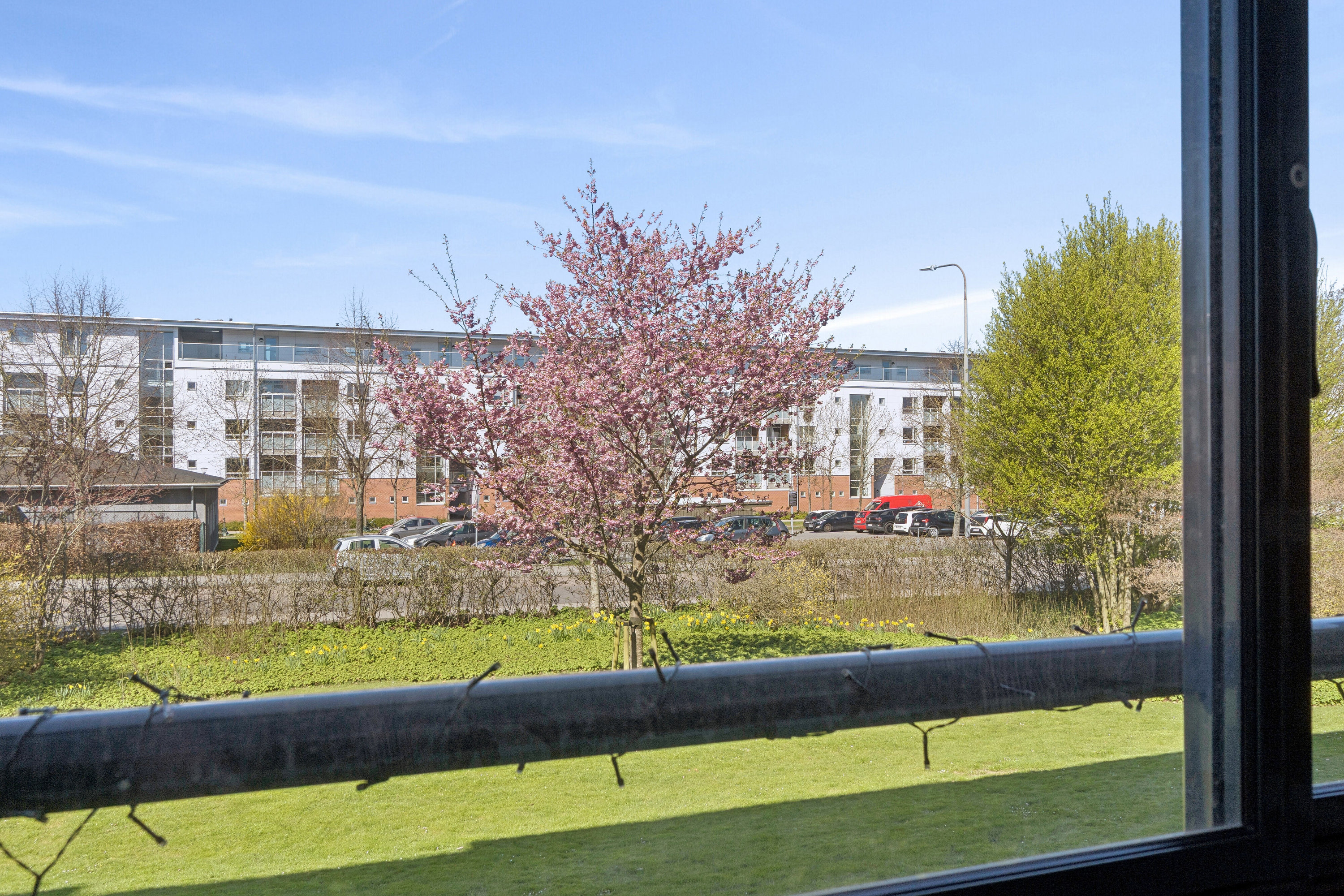 Fremhævet udsigt billede i fuldskærmstilstand. Billede af Ejboparken 39, st.. th., 4000 Roskilde