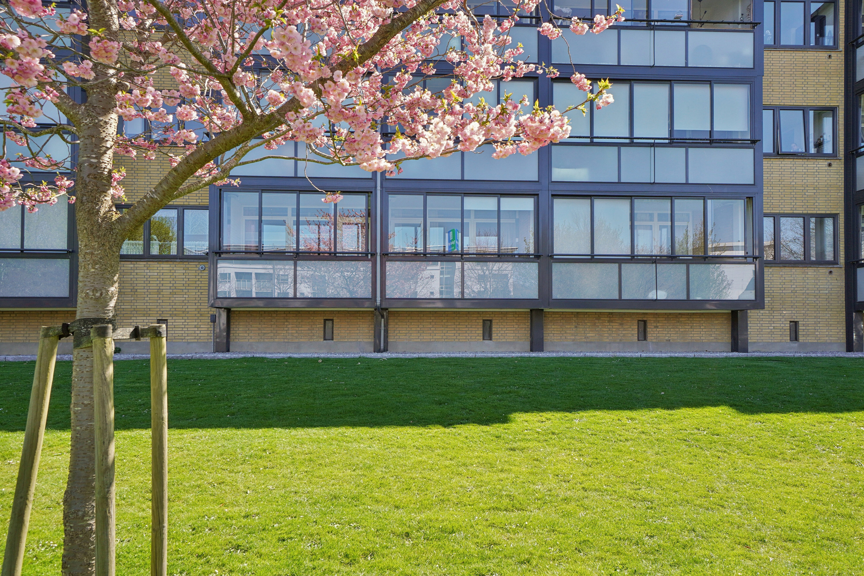 Fremhævet udendørs billede i fuldskærmstilstand. Billede af Ejboparken 39, st.. th., 4000 Roskilde