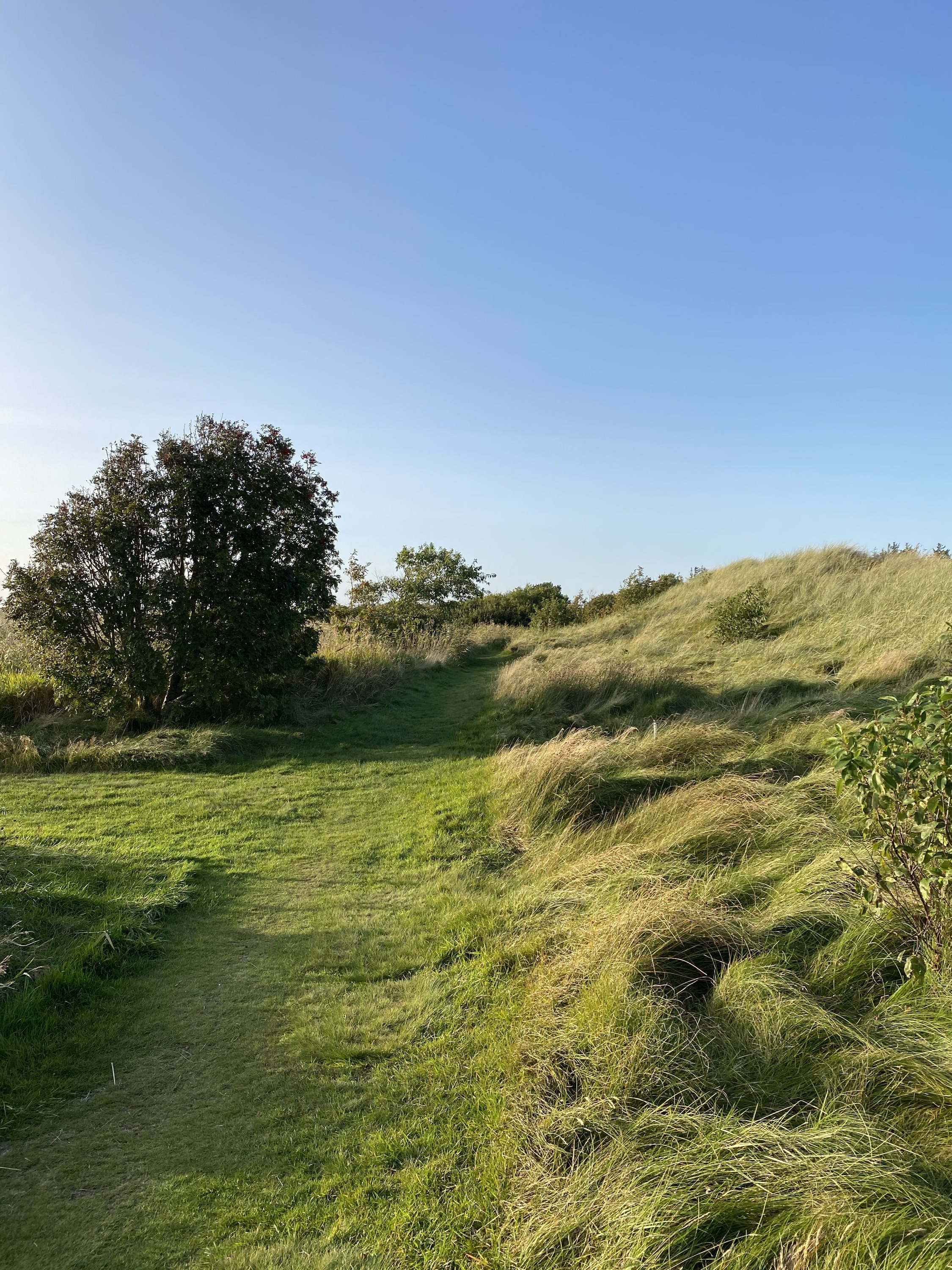 Fremhævet område billede i fuldskærmstilstand. Billede af Syrenvej 141, Stauning, 6900 Skjern