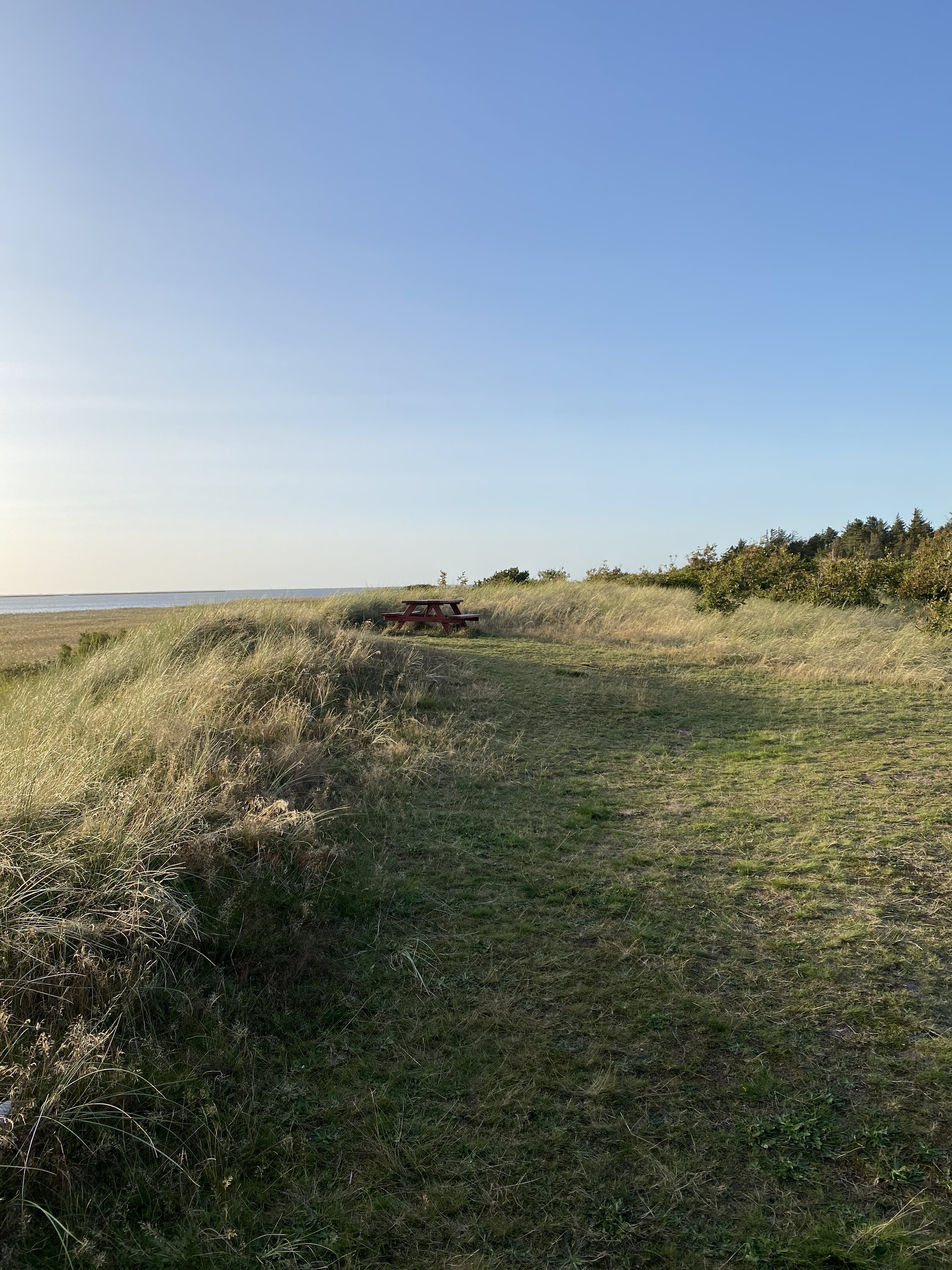 Fremhævet område billede i fuldskærmstilstand. Billede af Syrenvej 141, Stauning, 6900 Skjern