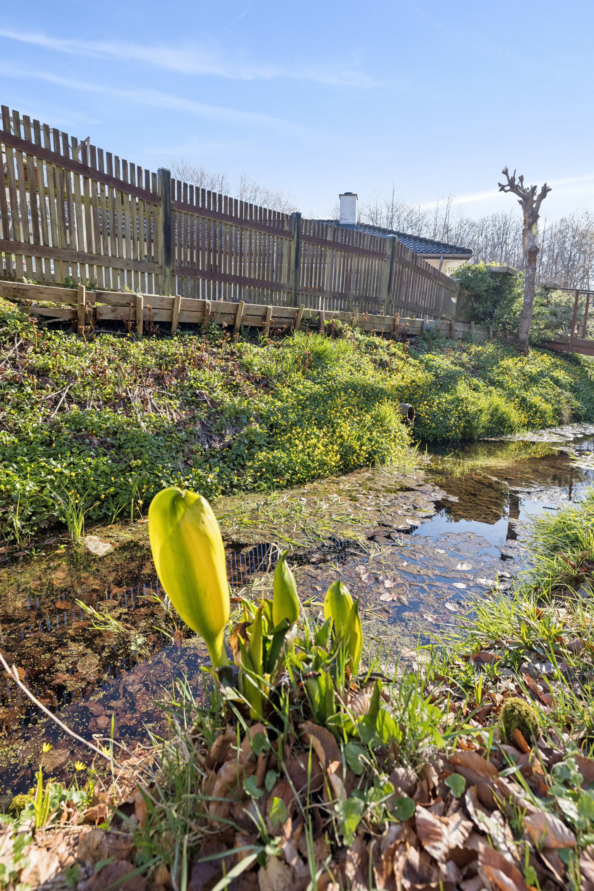 Fremhævet andet billede i fuldskærmstilstand. Billede af Skyttebakken 8B, 8550 Ryomgård