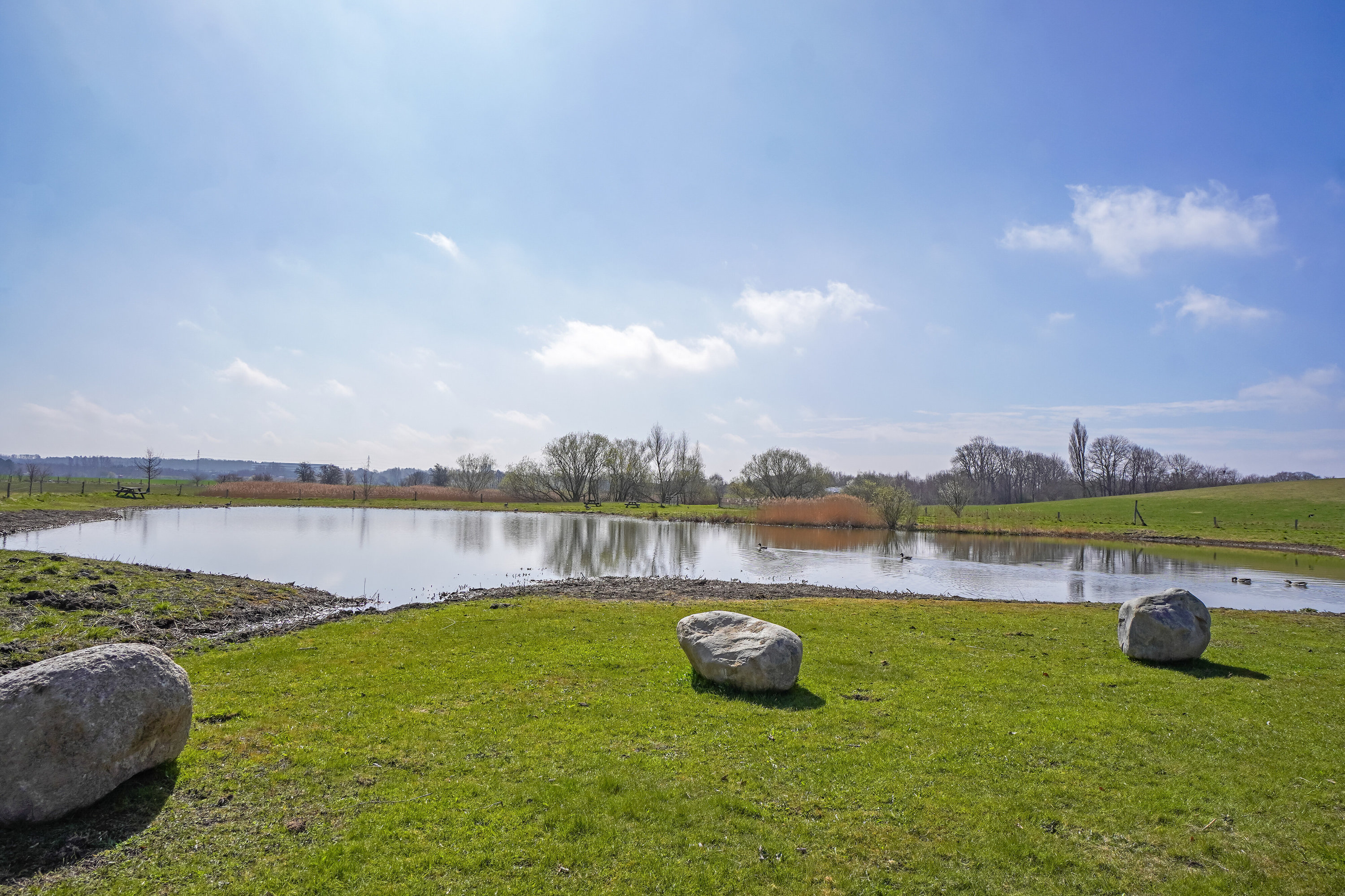 Fremhævet set fra haven billede i fuldskærmstilstand. Billede af Jernaldermarken 92, Himmelev, 4000 Roskilde