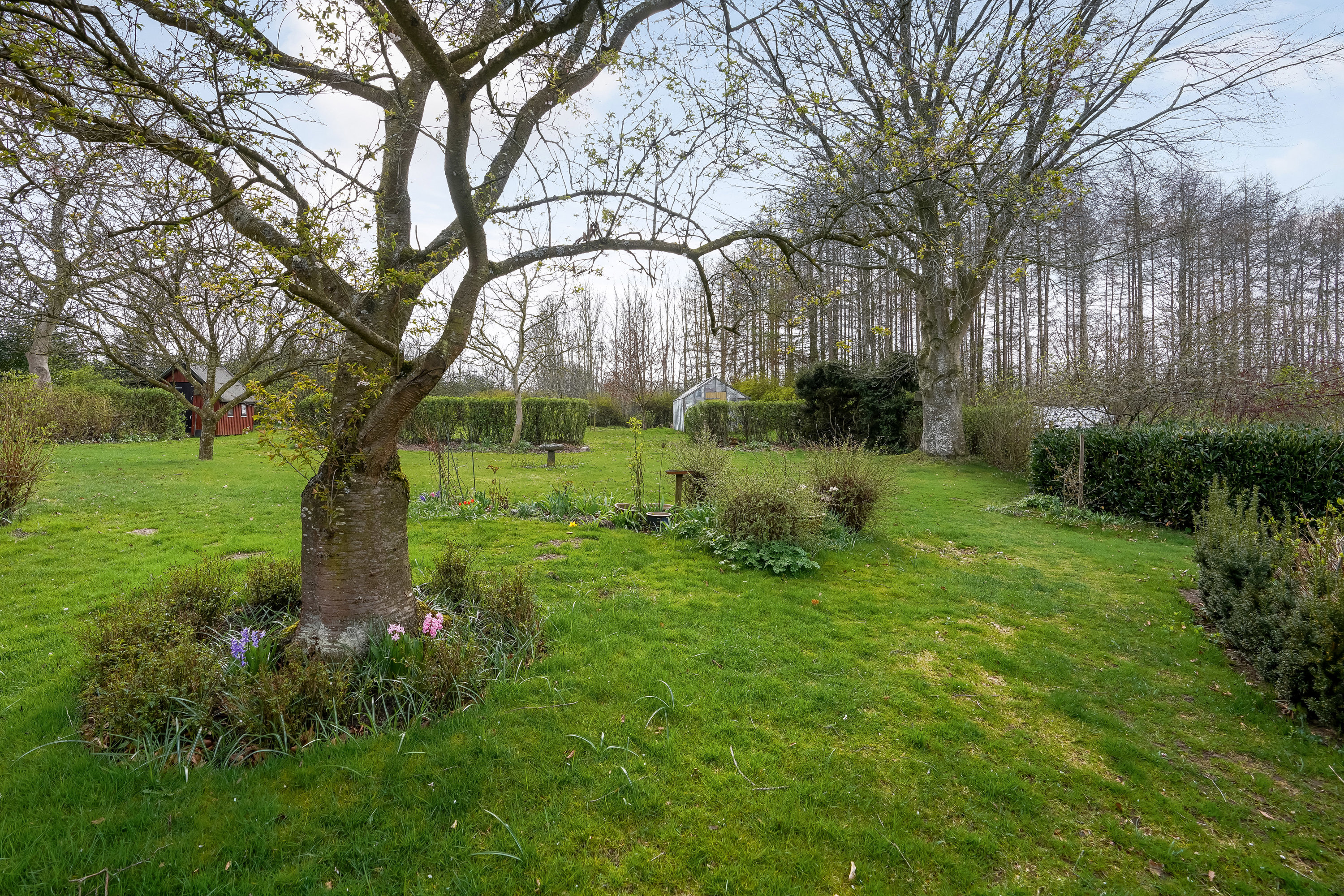 Fremhævet have billede i fuldskærmstilstand. Billede af Højmarken 23, Vejrup, 5491 Blommenslyst