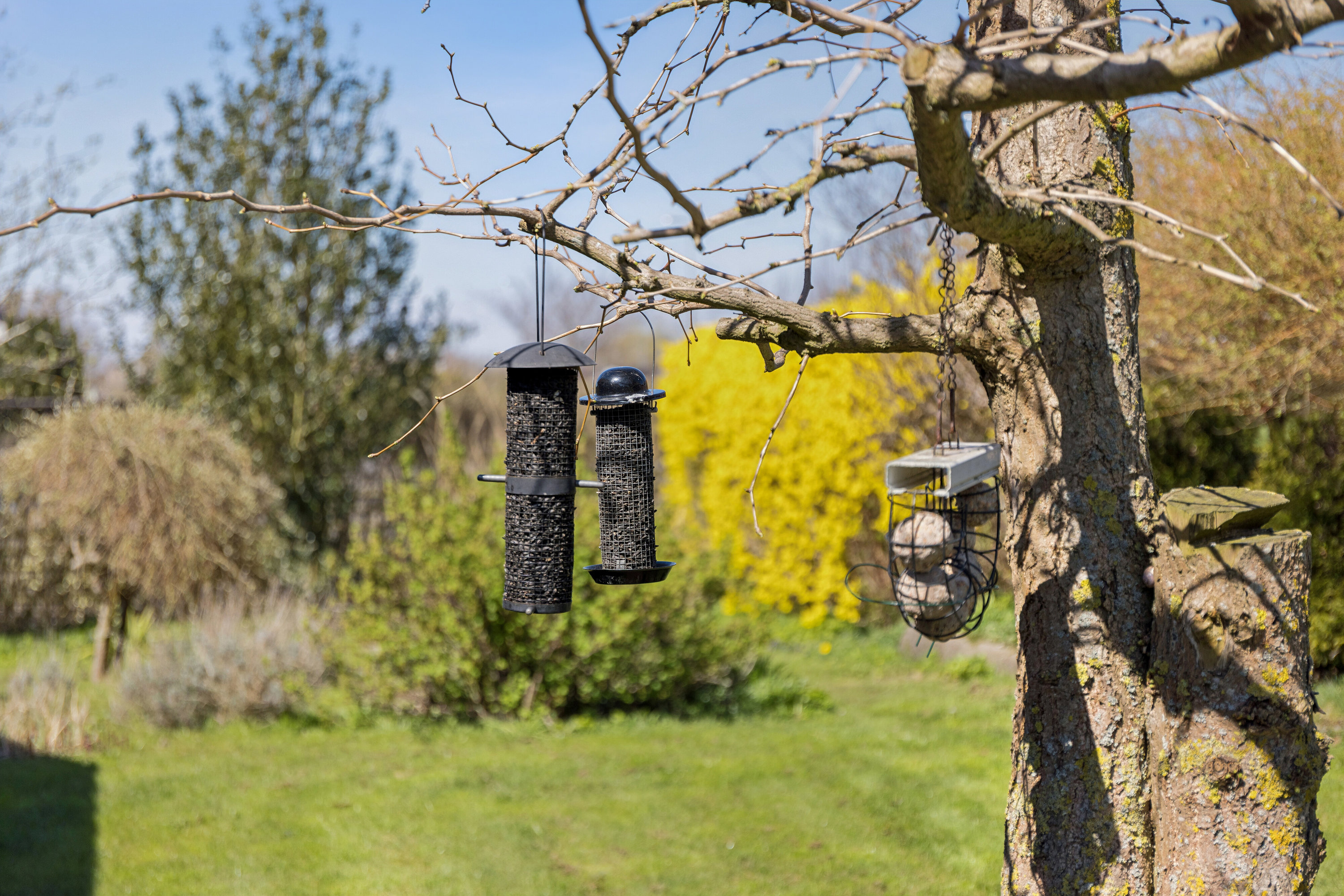 Fremhævet udendørs billede i fuldskærmstilstand. Billede af Bruunsmindevej 2, Toksværd, 4684 Holmegaard