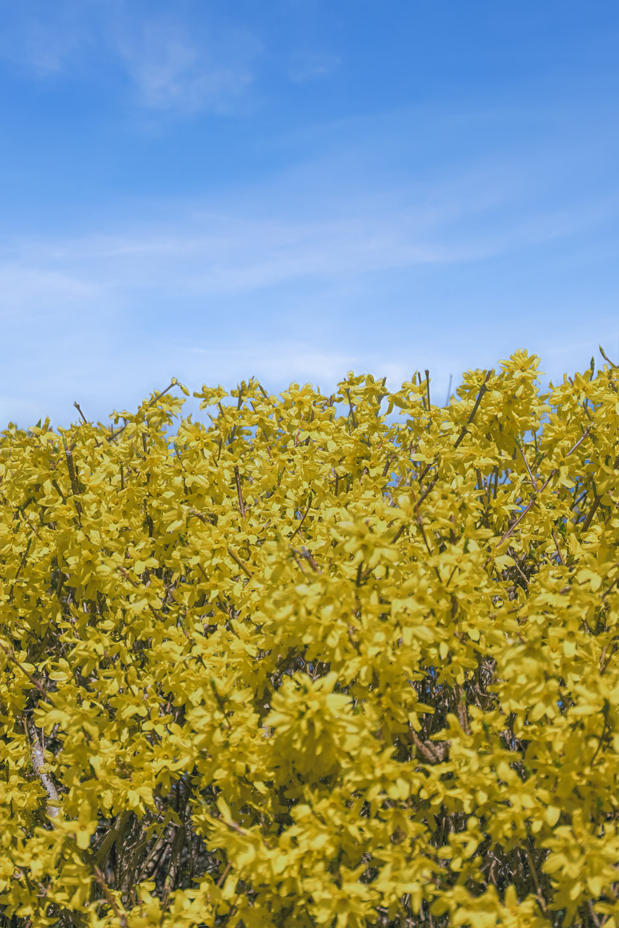 Fremhævet udendørs billede i fuldskærmstilstand. Billede af Bruunsmindevej 2, Toksværd, 4684 Holmegaard