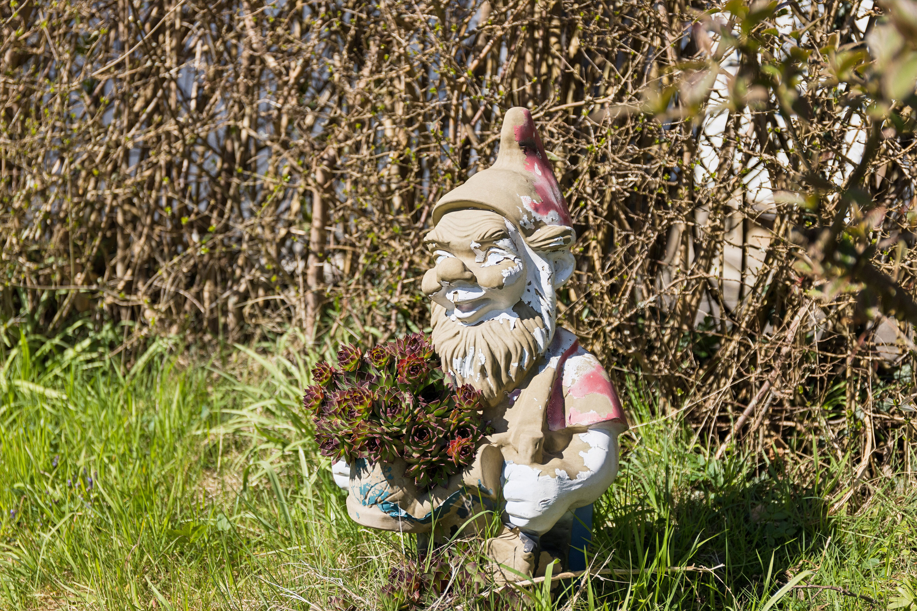 Fremhævet udendørs billede i fuldskærmstilstand. Billede af Bruunsmindevej 2, Toksværd, 4684 Holmegaard