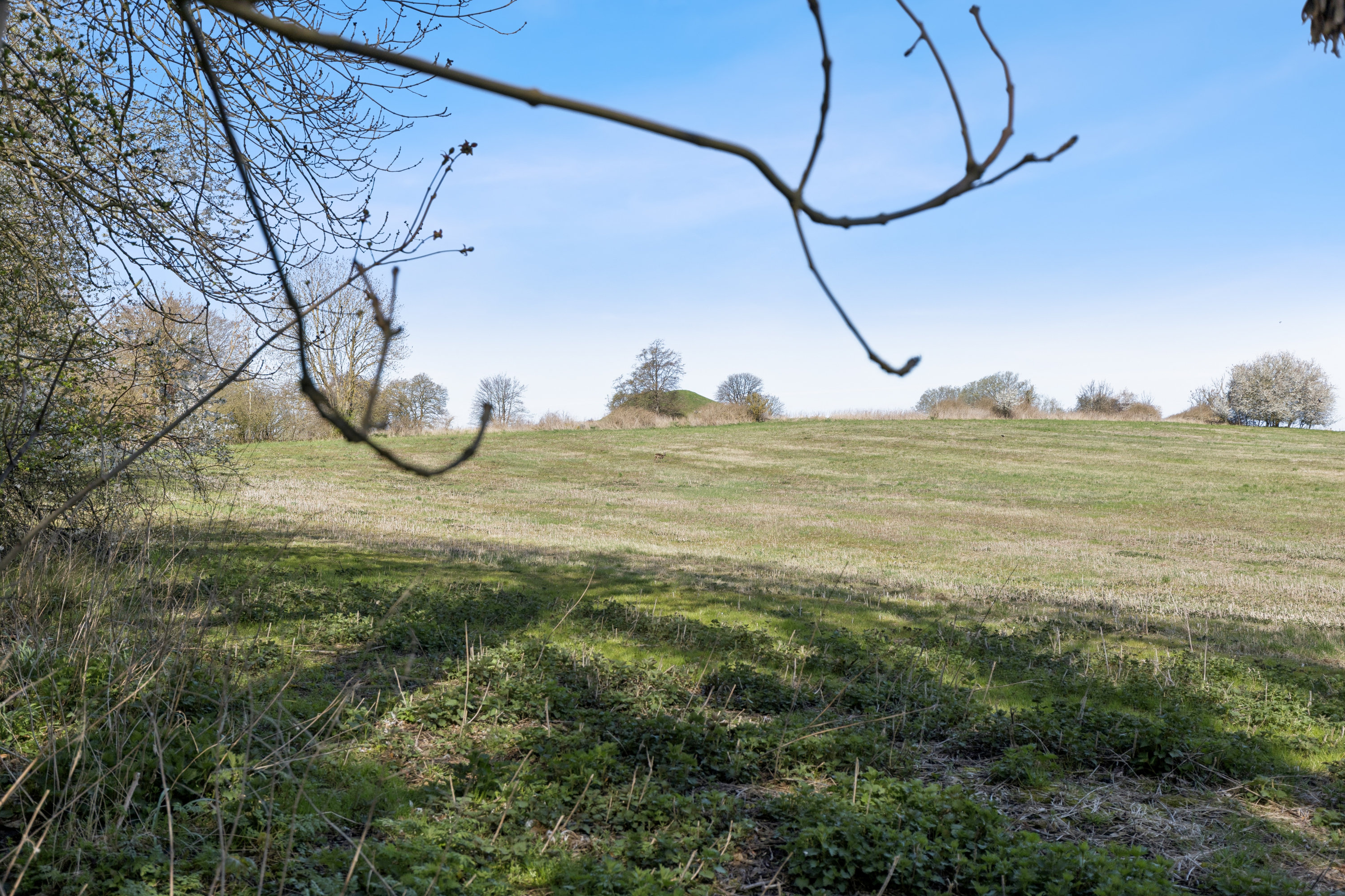 Fremhævet udsigt billede i fuldskærmstilstand. Billede af Eskebjerg Strandvej 5, 4593 Eskebjerg
