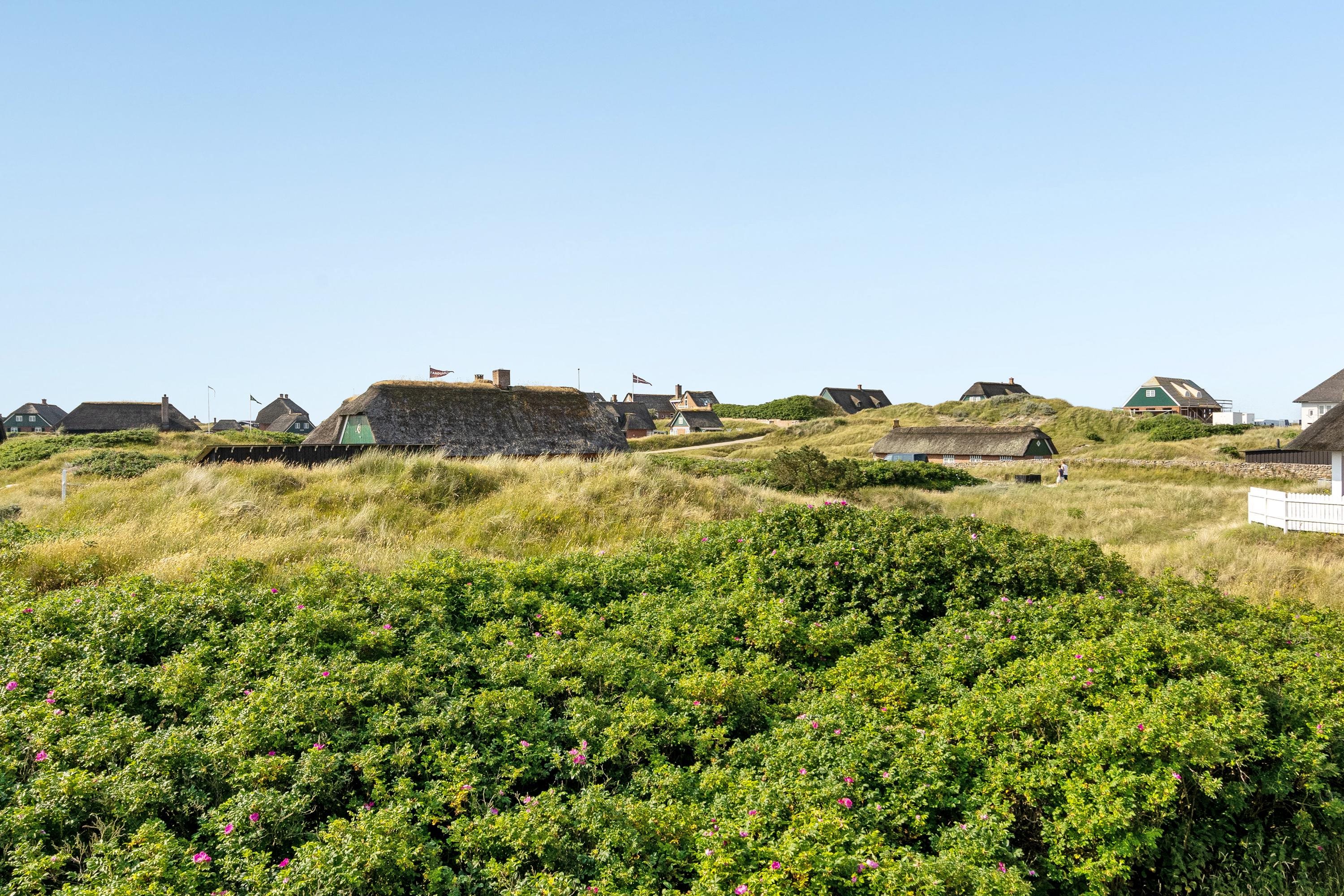 Fremhævet udsigt billede i fuldskærmstilstand. Billede af Strandvejen 52, 1. 114., Fanø Bad, 6720 Fanø