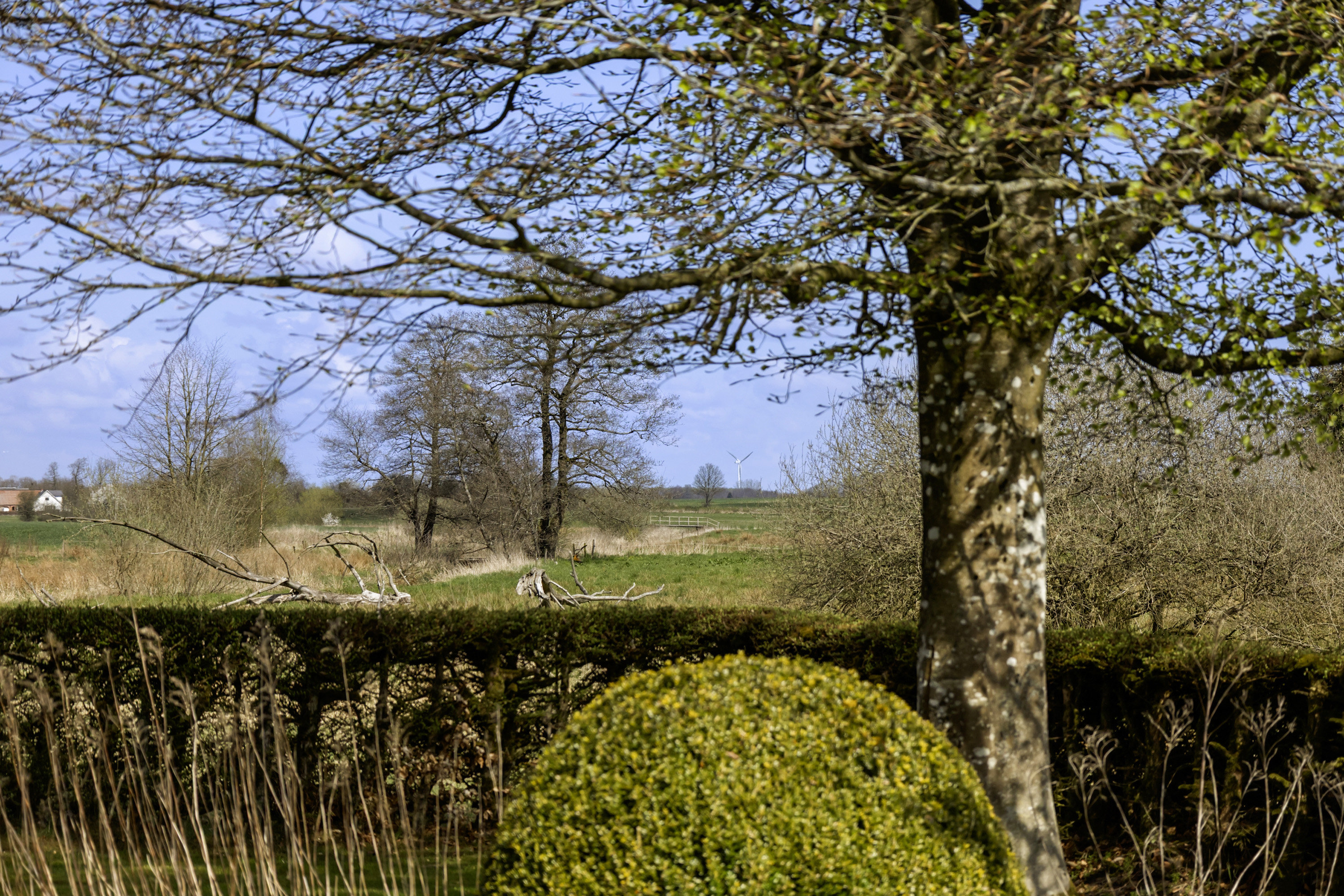 Fremhævet område billede i fuldskærmstilstand. Billede af Langbjergvej 2, 6621 Gesten