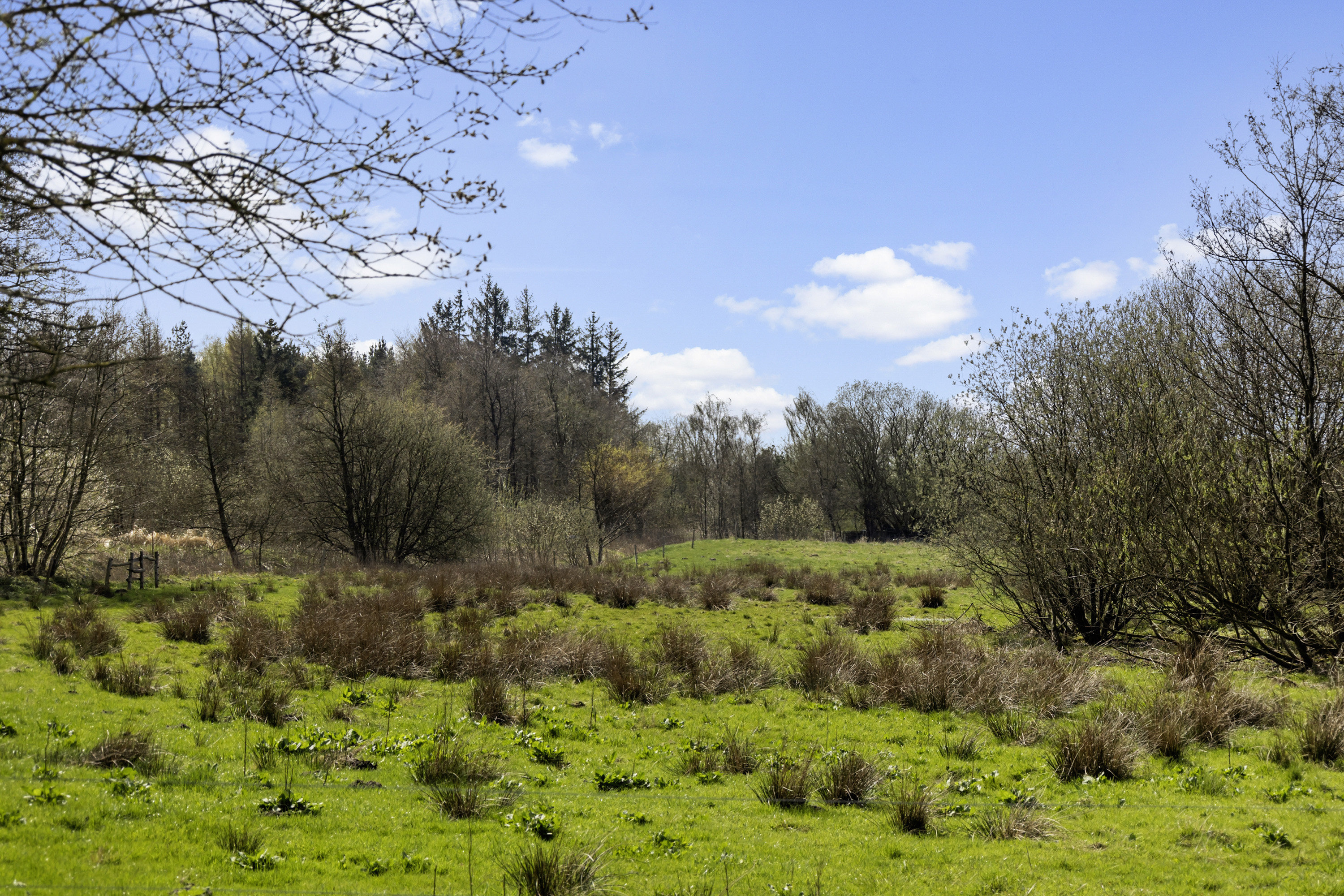 Langbjergvej 2, 6621 Gesten