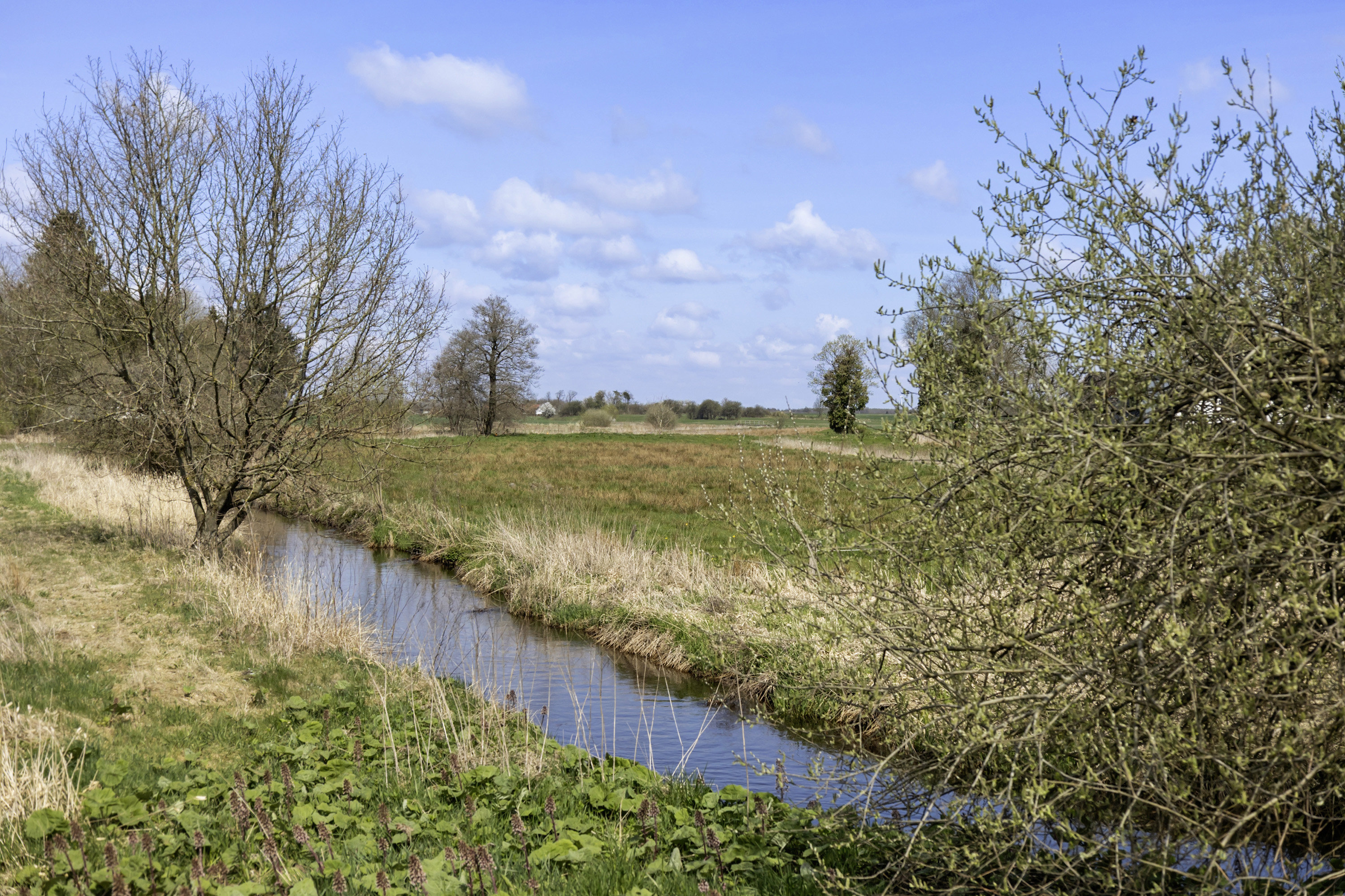 Fremhævet område billede i fuldskærmstilstand. Billede af Langbjergvej 2, 6621 Gesten
