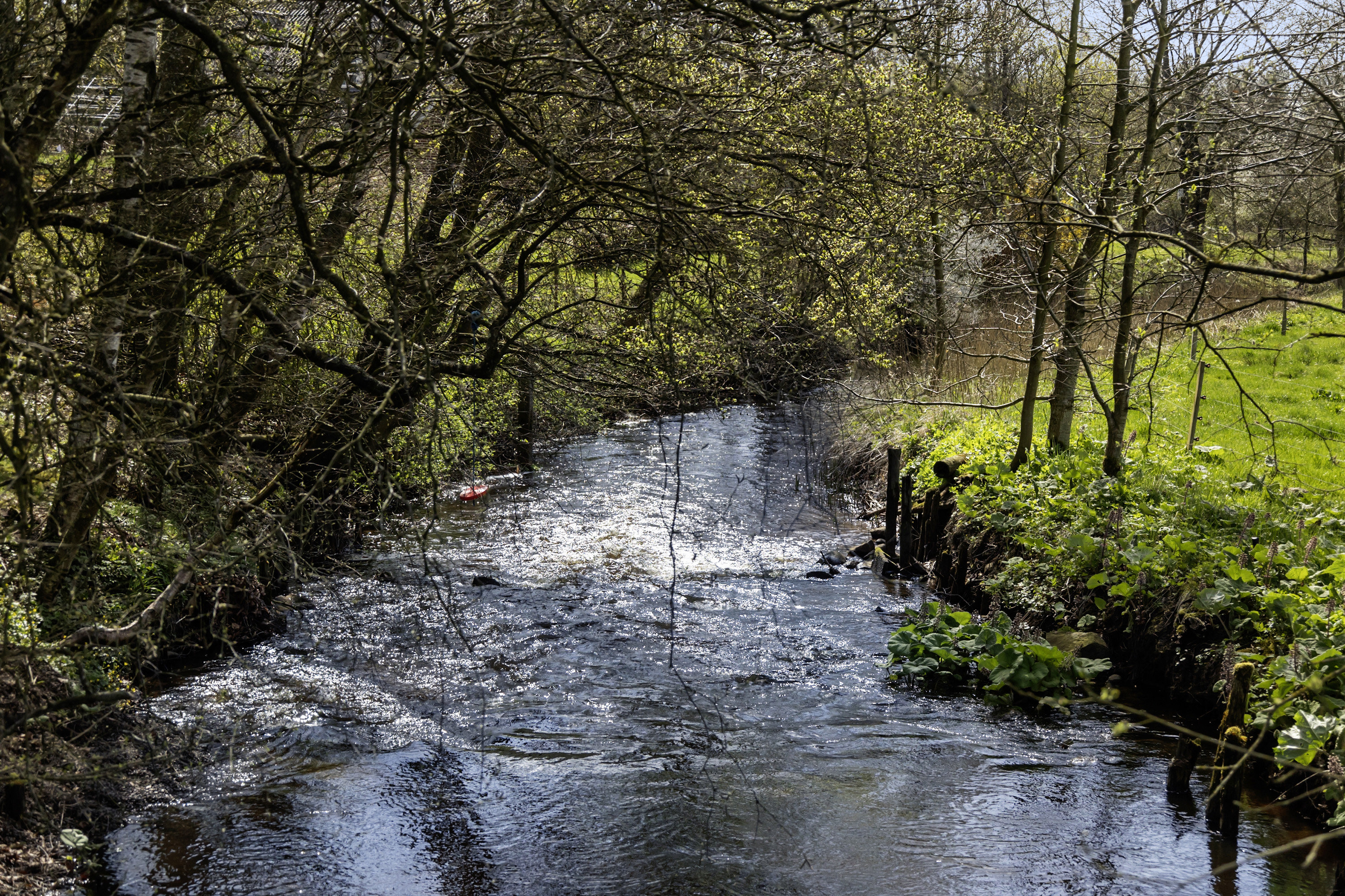 Fremhævet område billede i fuldskærmstilstand. Billede af Langbjergvej 2, 6621 Gesten