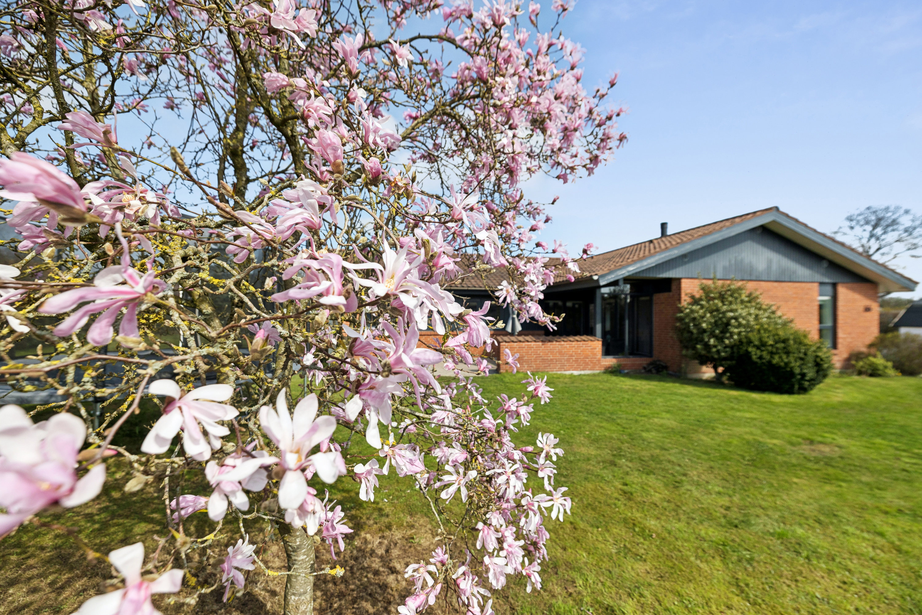 Fremhævet have billede i fuldskærmstilstand. Billede af Fjordparken 66, 9500 Hobro