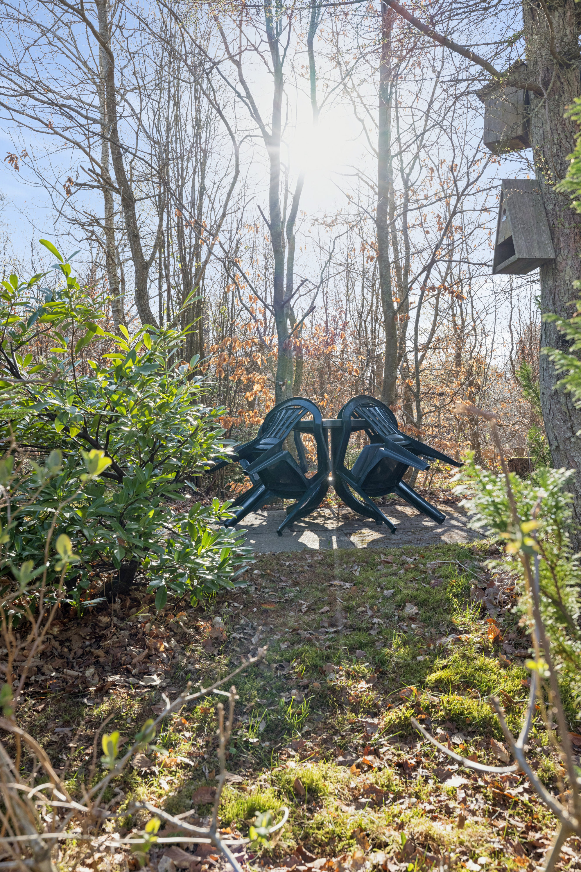 Fremhævet have billede i fuldskærmstilstand. Billede af Gl. Randersvej 21, Hedeskov, 8410 Rønde