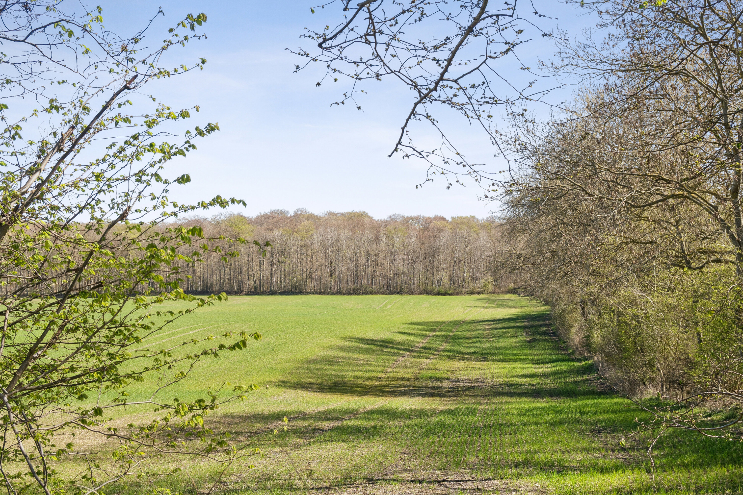 Kollekollevej 23, Sv Hestehave, 4560 Vig