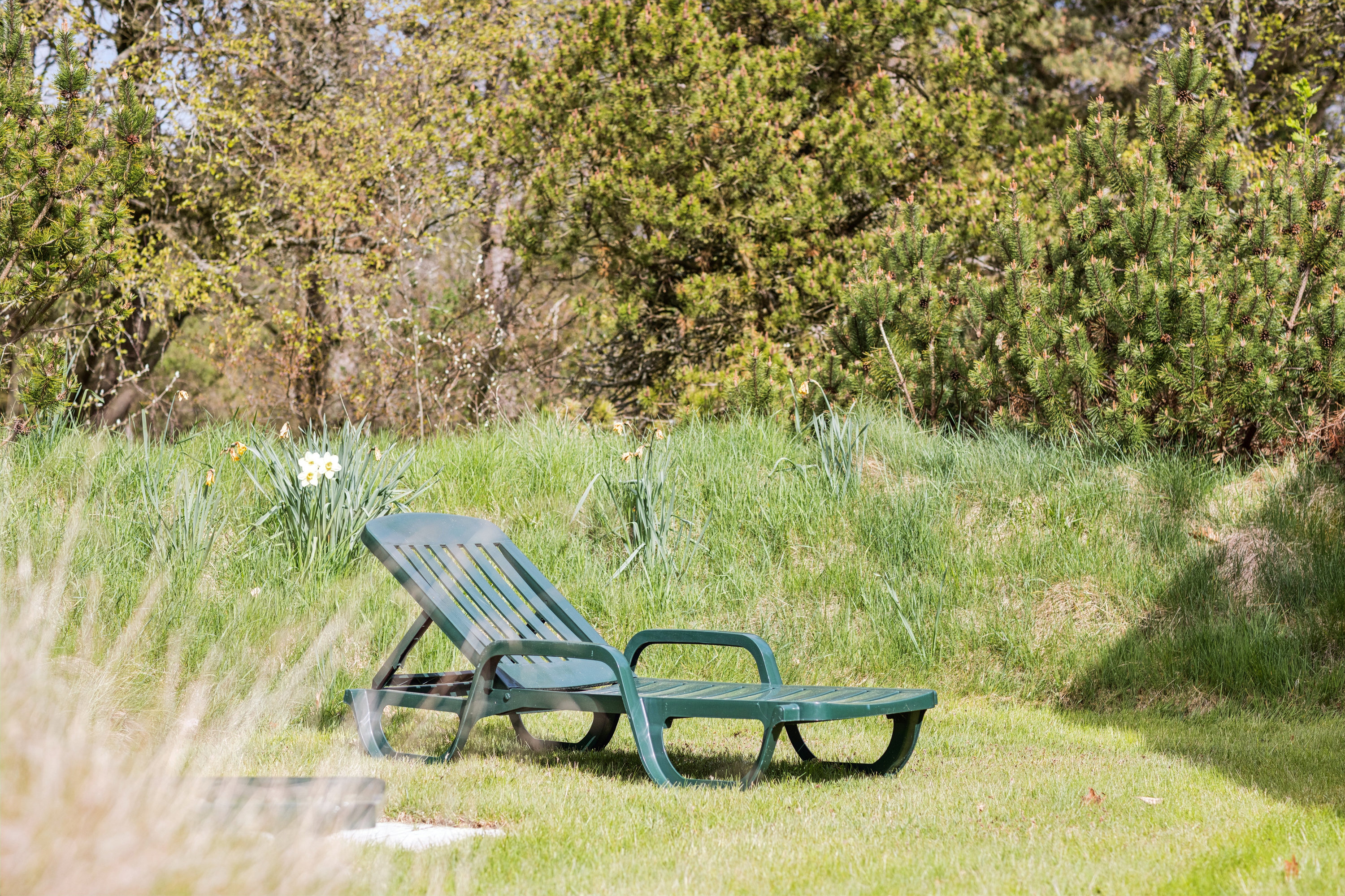 Fremhævet have billede i fuldskærmstilstand. Billede af Langdalsvej 6, Mølby, 6792 Rømø