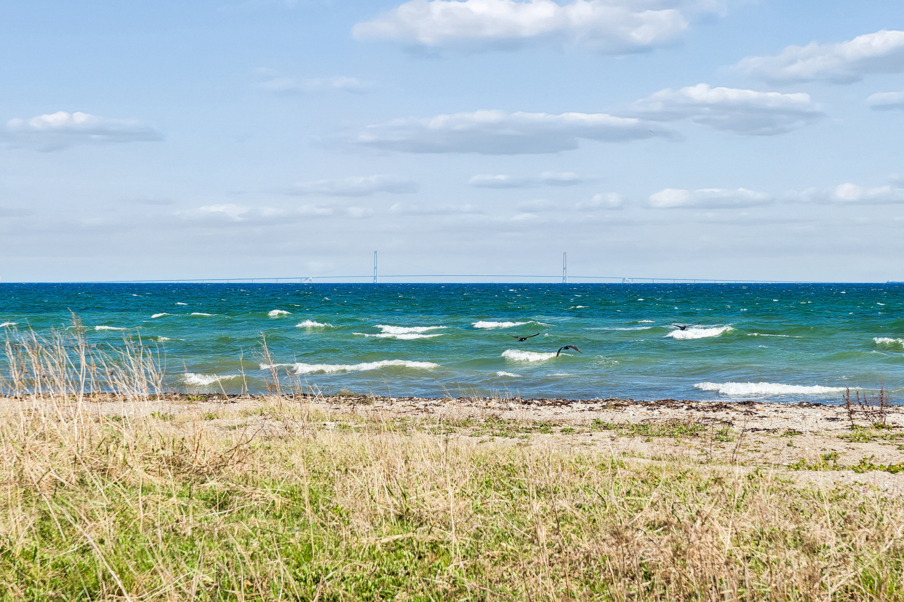 Fremhævet udendørs billede i fuldskærmstilstand. Billede af Frankelund 17, Hou, 5953 Tranekær