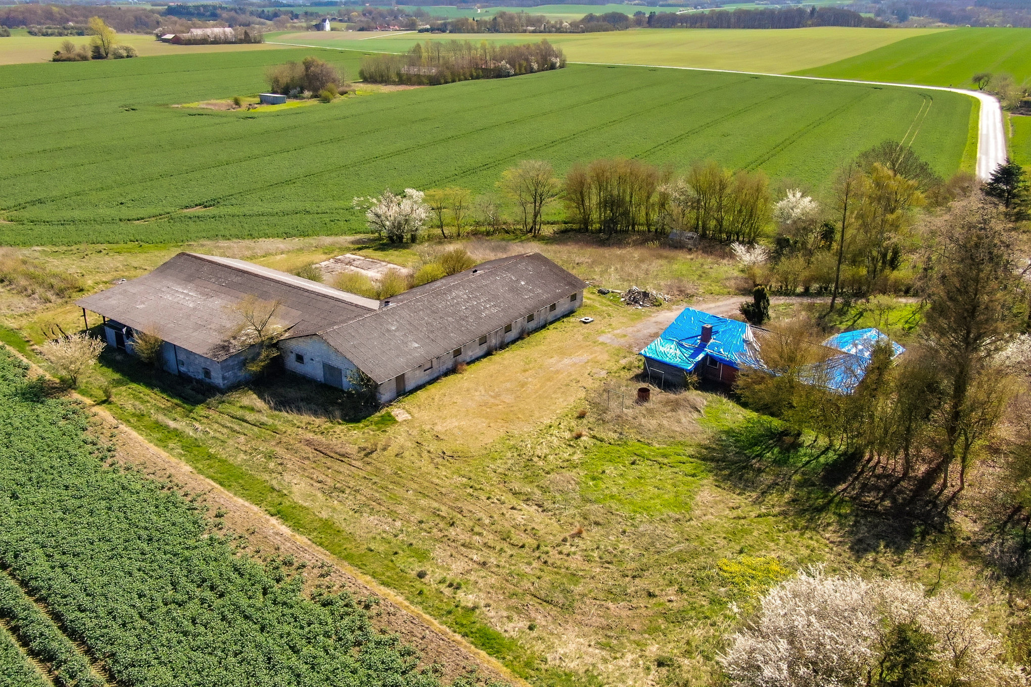 Fremhævet have billede i fuldskærmstilstand. Billede af Gammeljord 40, Tvede, 8930 Randers NØ