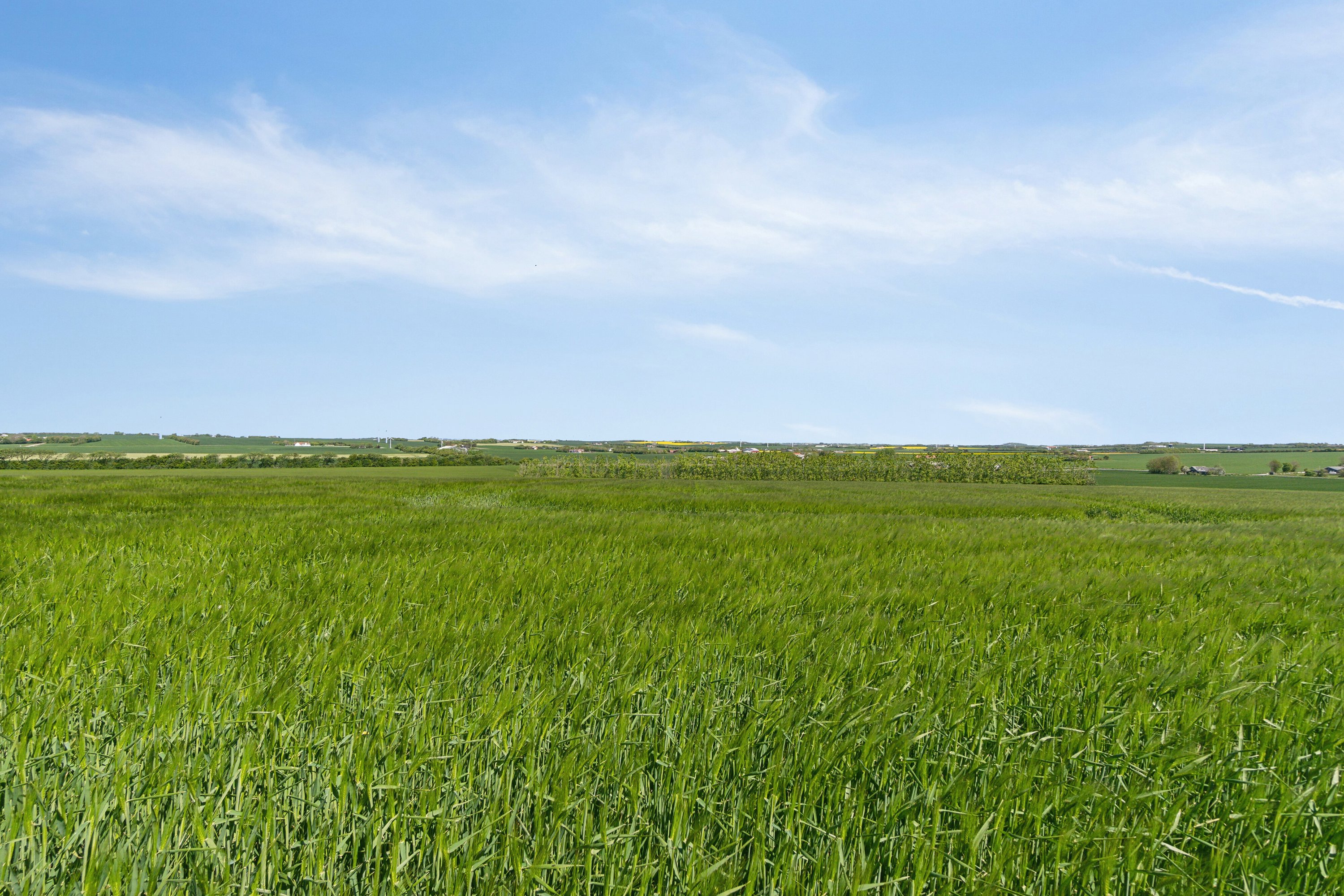 Fremhævet udendørs billede i fuldskærmstilstand. Billede af Ballerumvej 37, 7700 Thisted