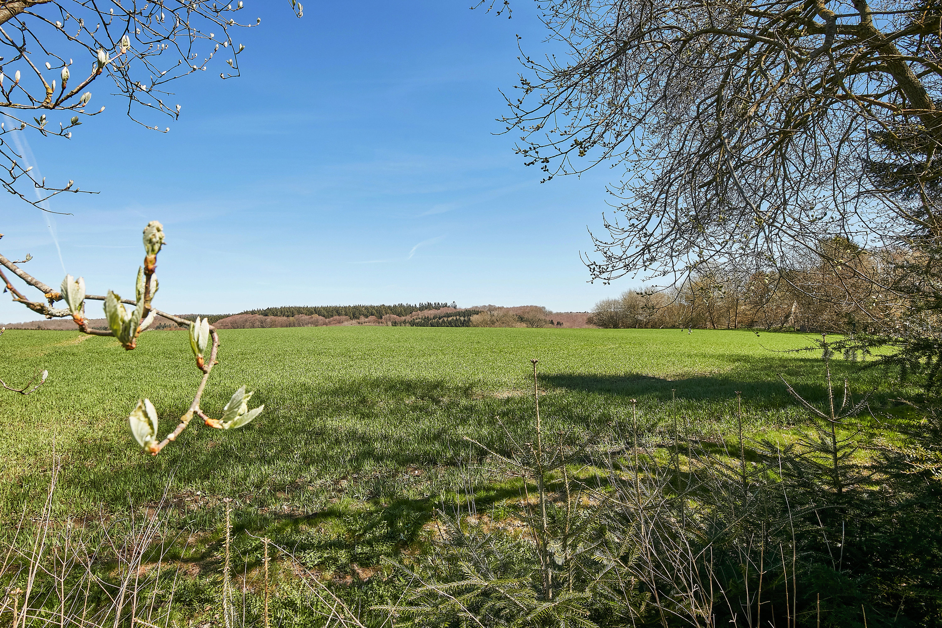 Fremhævet andet billede i fuldskærmstilstand. Billede af Åstruplundvej 11, Føvling, 8740 Brædstrup
