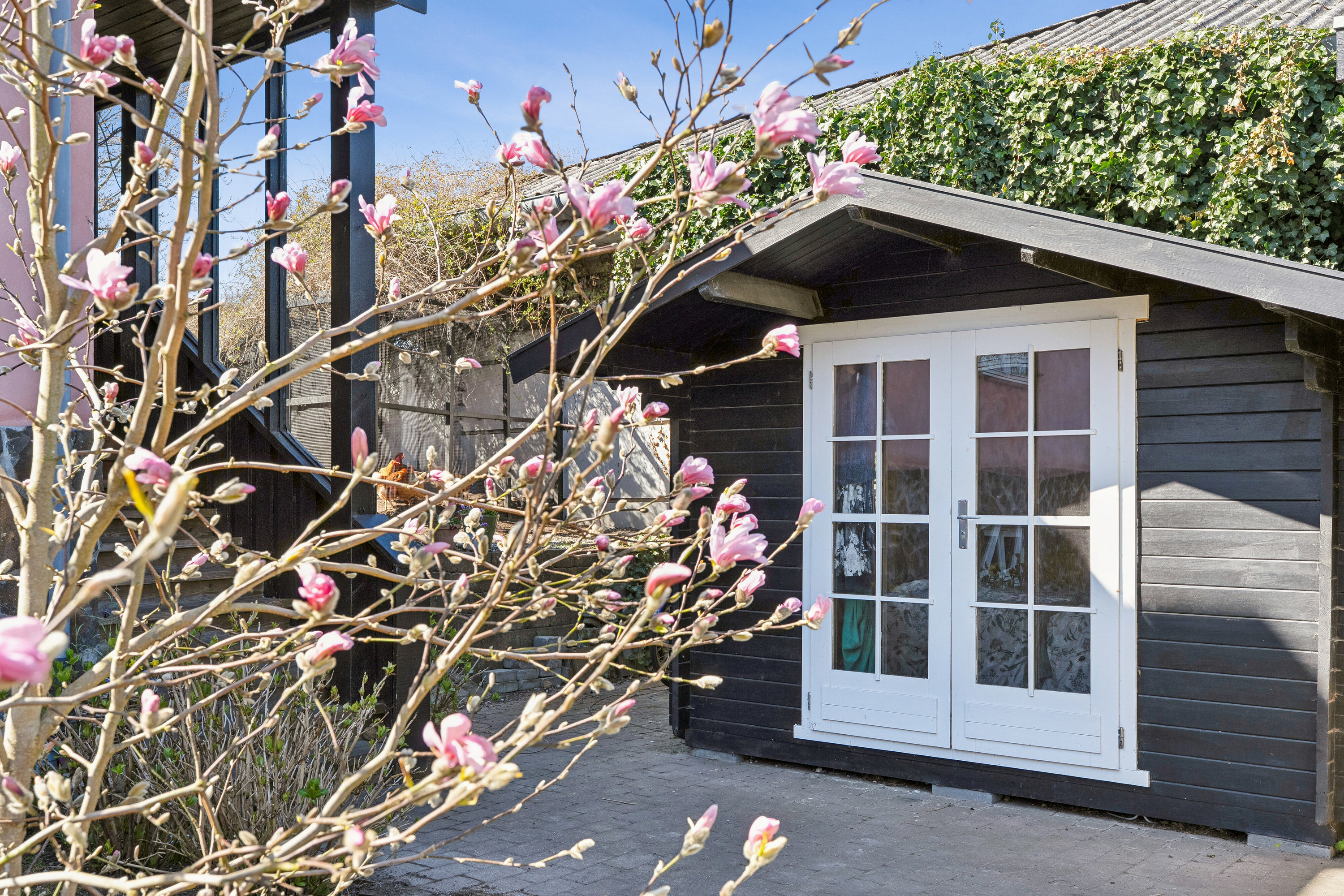 Fremhævet udendørs billede i fuldskærmstilstand. Billede af Johannes Ewalds Vej 4, 3100 Hornbæk