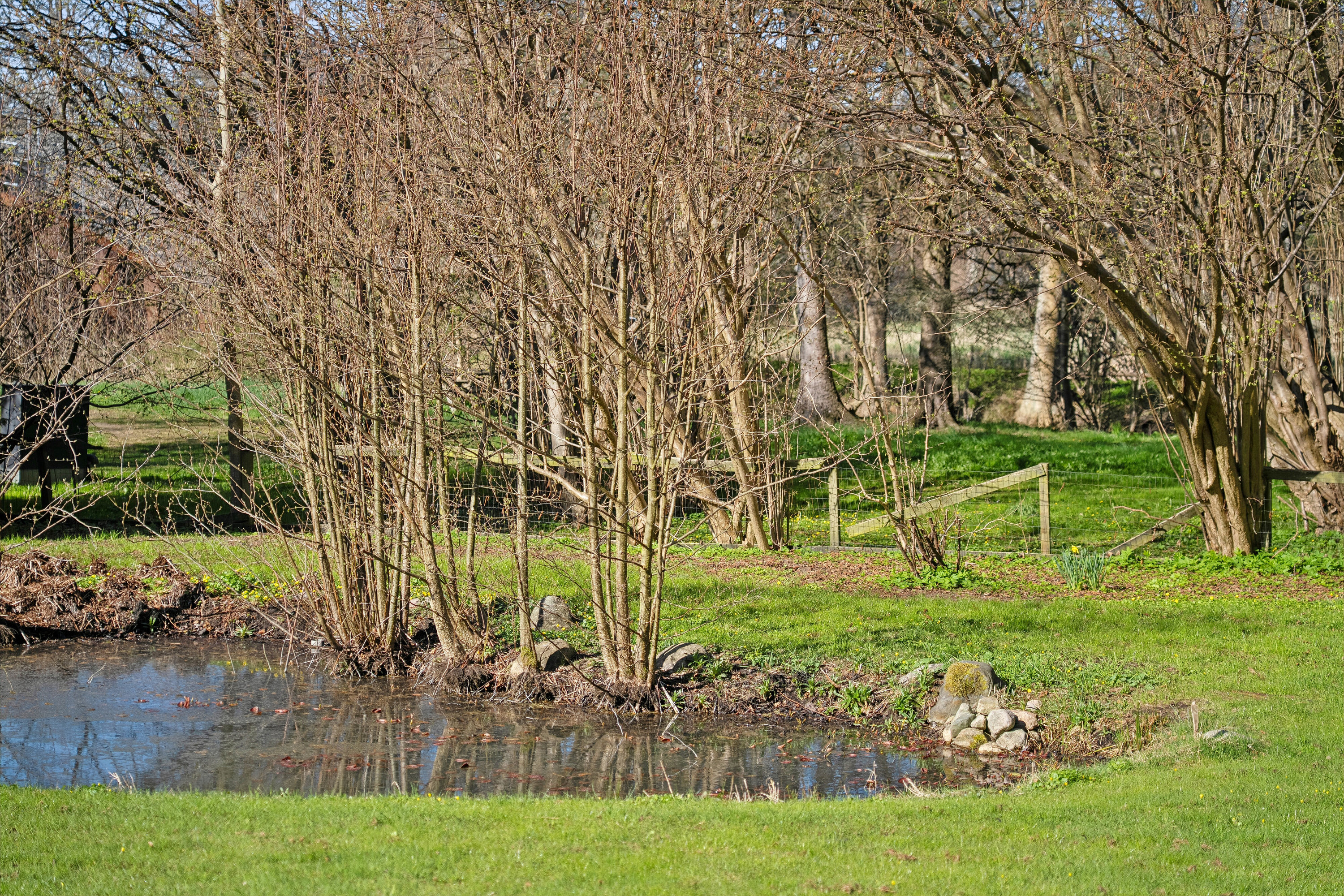 Fremhævet udendørs billede i fuldskærmstilstand. Billede af Åsvinget 40, 3120 Dronningmølle