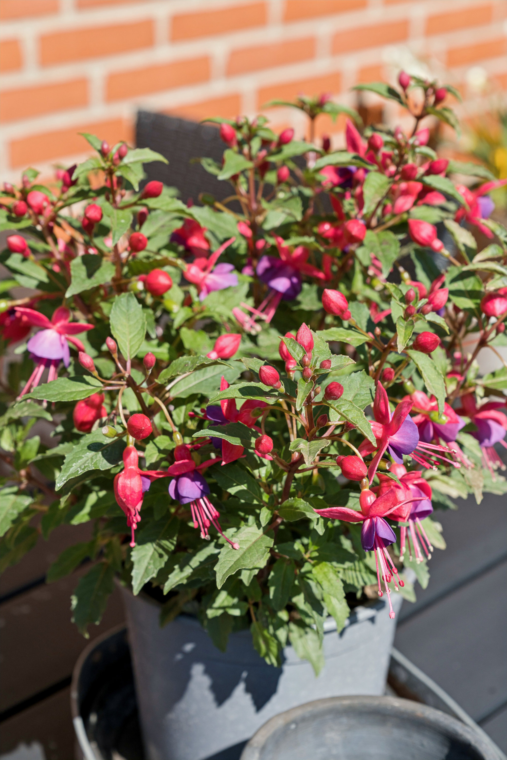 Fremhævet udendørs billede i fuldskærmstilstand. Billede af Tingstedet 55, 7190 Billund