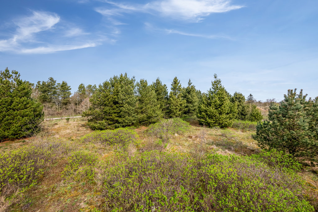 Syrenvej 1, Stauning, 6900 Skjern