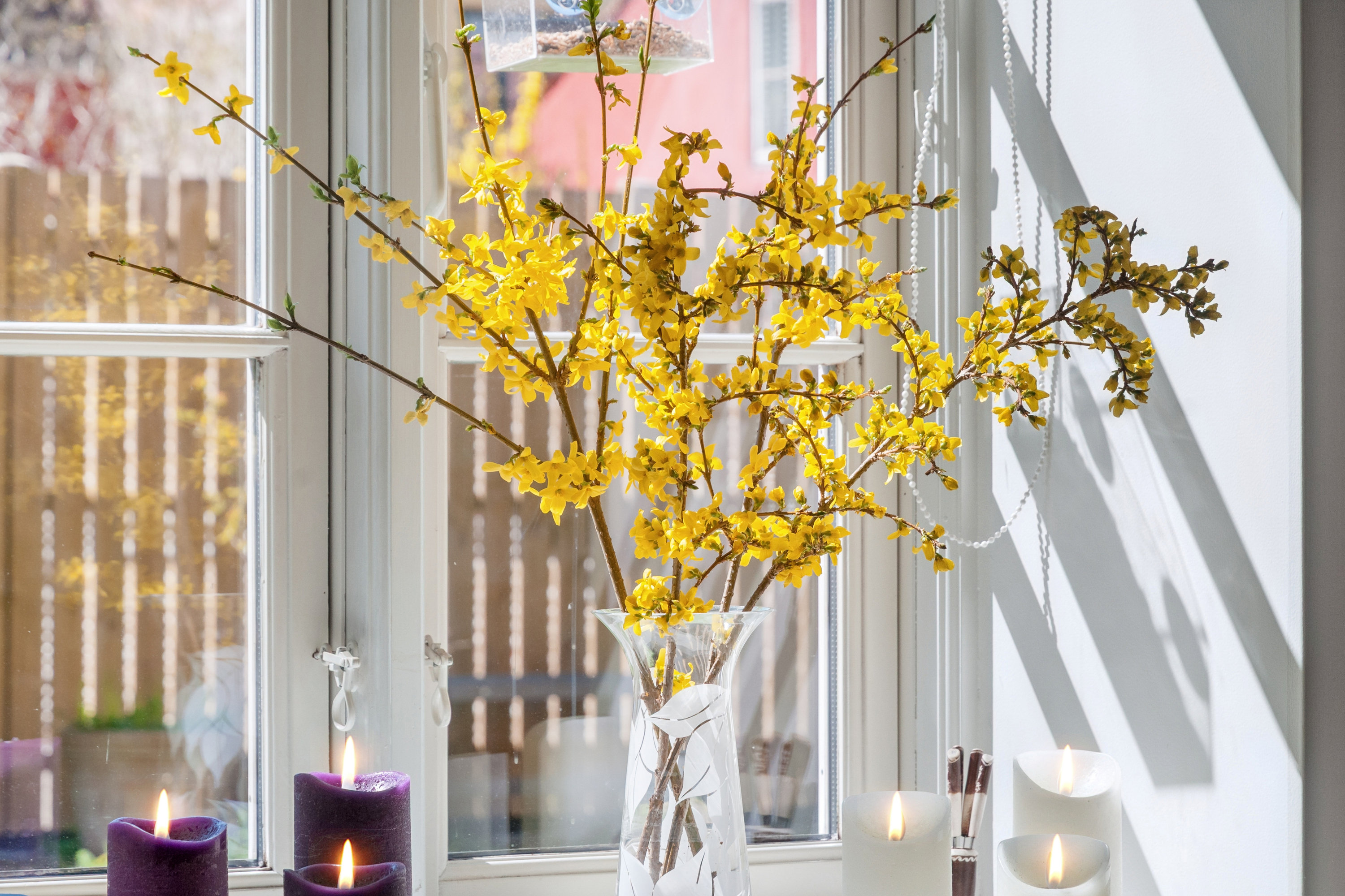 Fremhævet entré billede i fuldskærmstilstand. Billede af Sct Anna Gade 51C, 3000 Helsingør