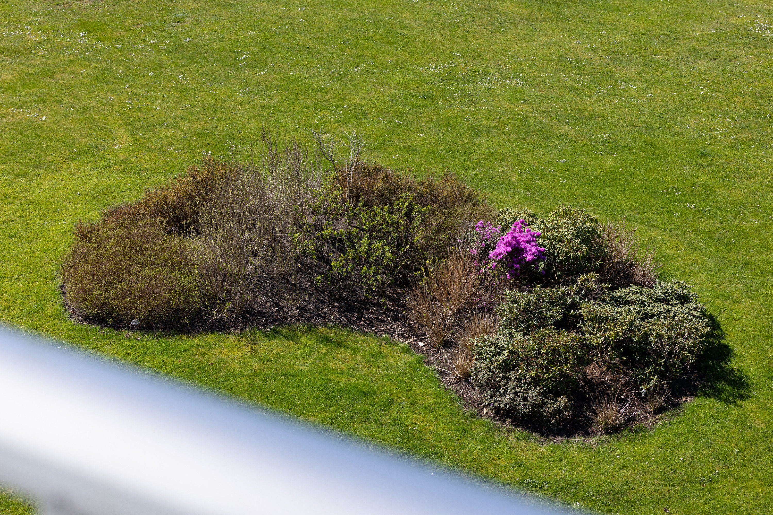 Fremhævet  billede i fuldskærmstilstand. Billede af Hougårdsvej 58, 3. th., 8220 Brabrand