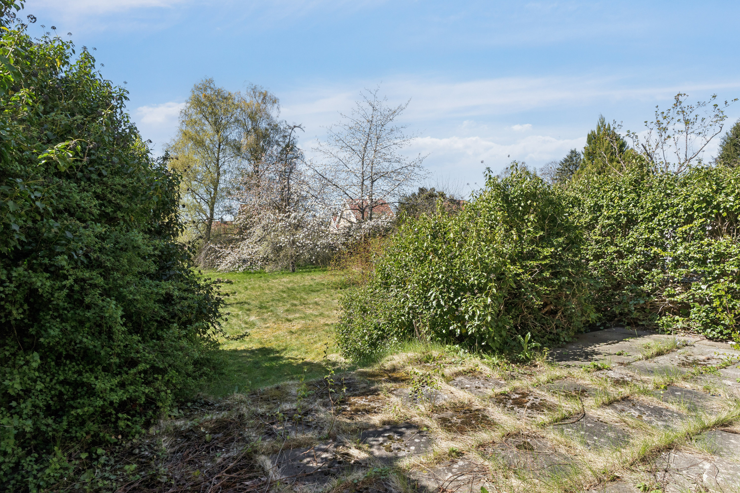 Fremhævet terasse billede i fuldskærmstilstand. Billede af Frugthegnet 85, 2830 Virum