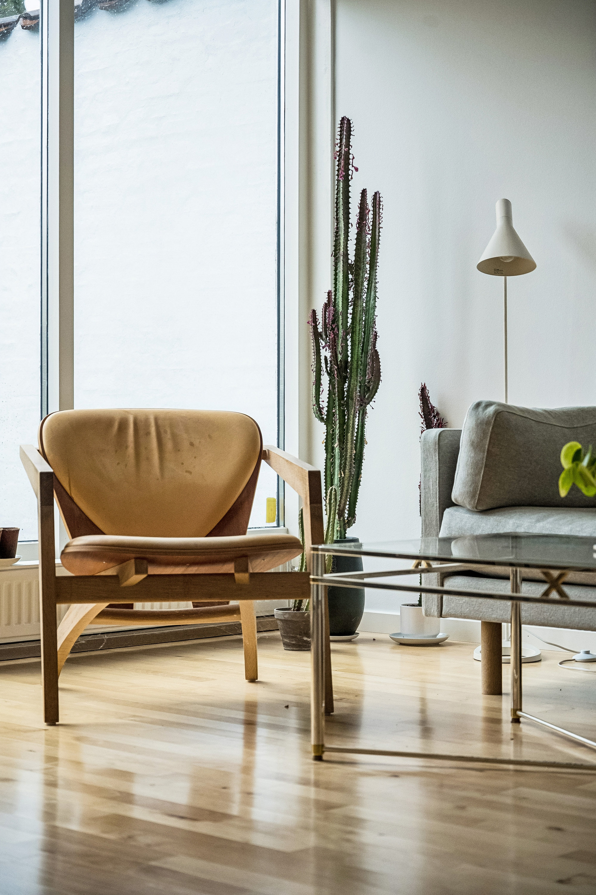 Fremhævet  billede i fuldskærmstilstand. Billede af Jacob Adelborgs Allé 15, 8240 Risskov