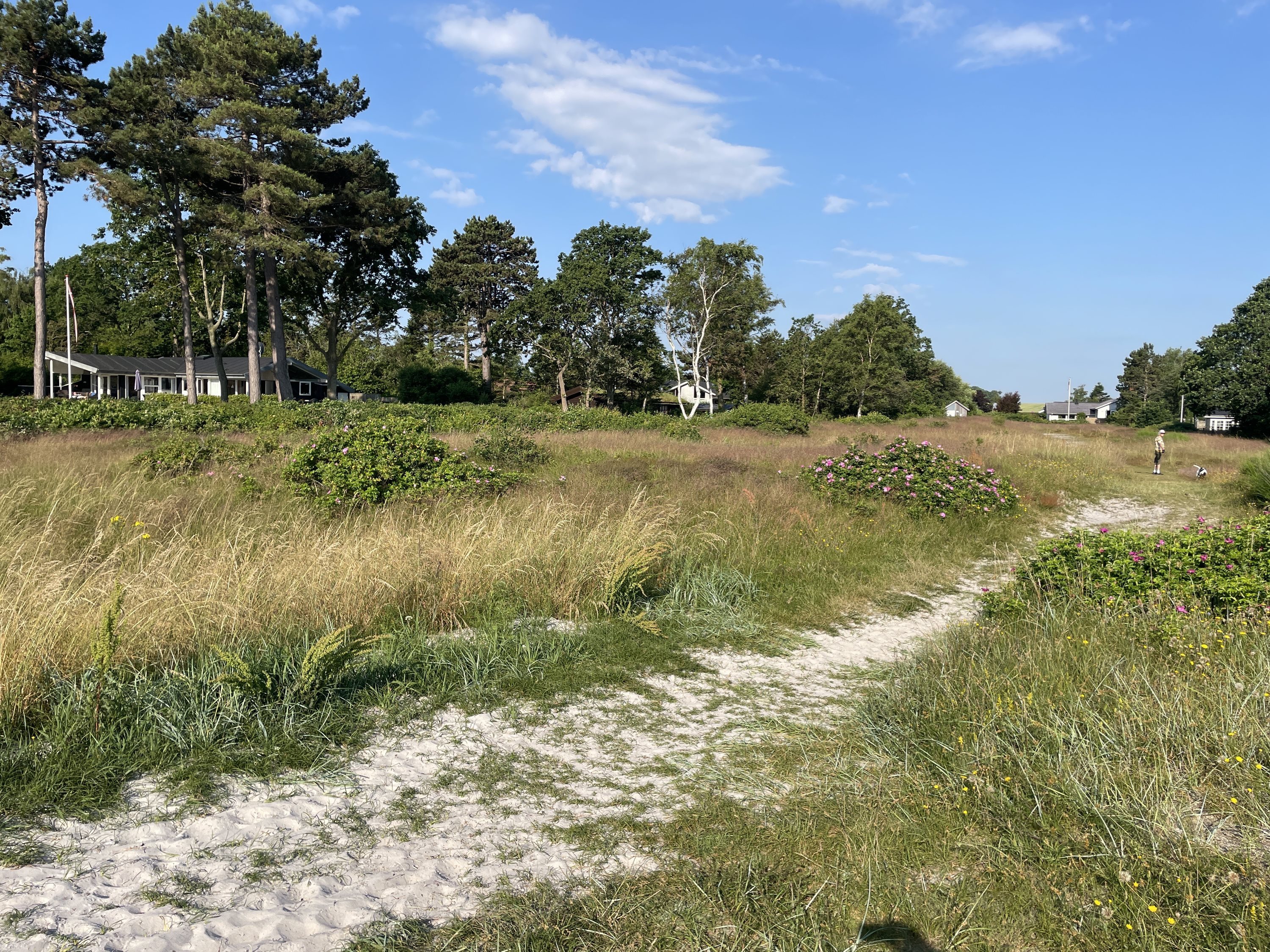 Fremhævet  billede i fuldskærmstilstand. Billede af Saksild Strandfælled 63, Saksild Strand, 8300 Odder