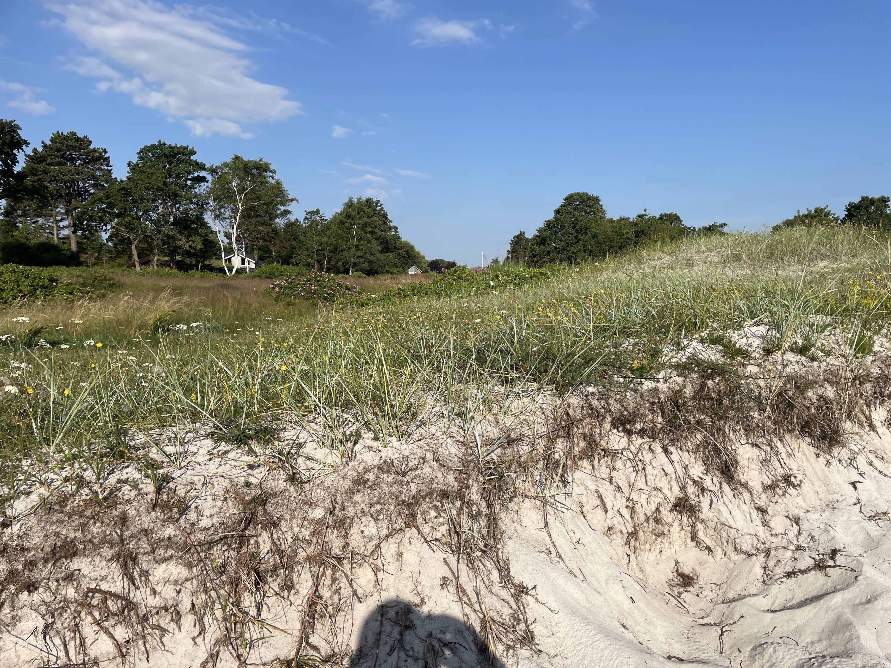 Fremhævet  billede i fuldskærmstilstand. Billede af Saksild Strandfælled 79, Saksild Strand, 8300 Odder