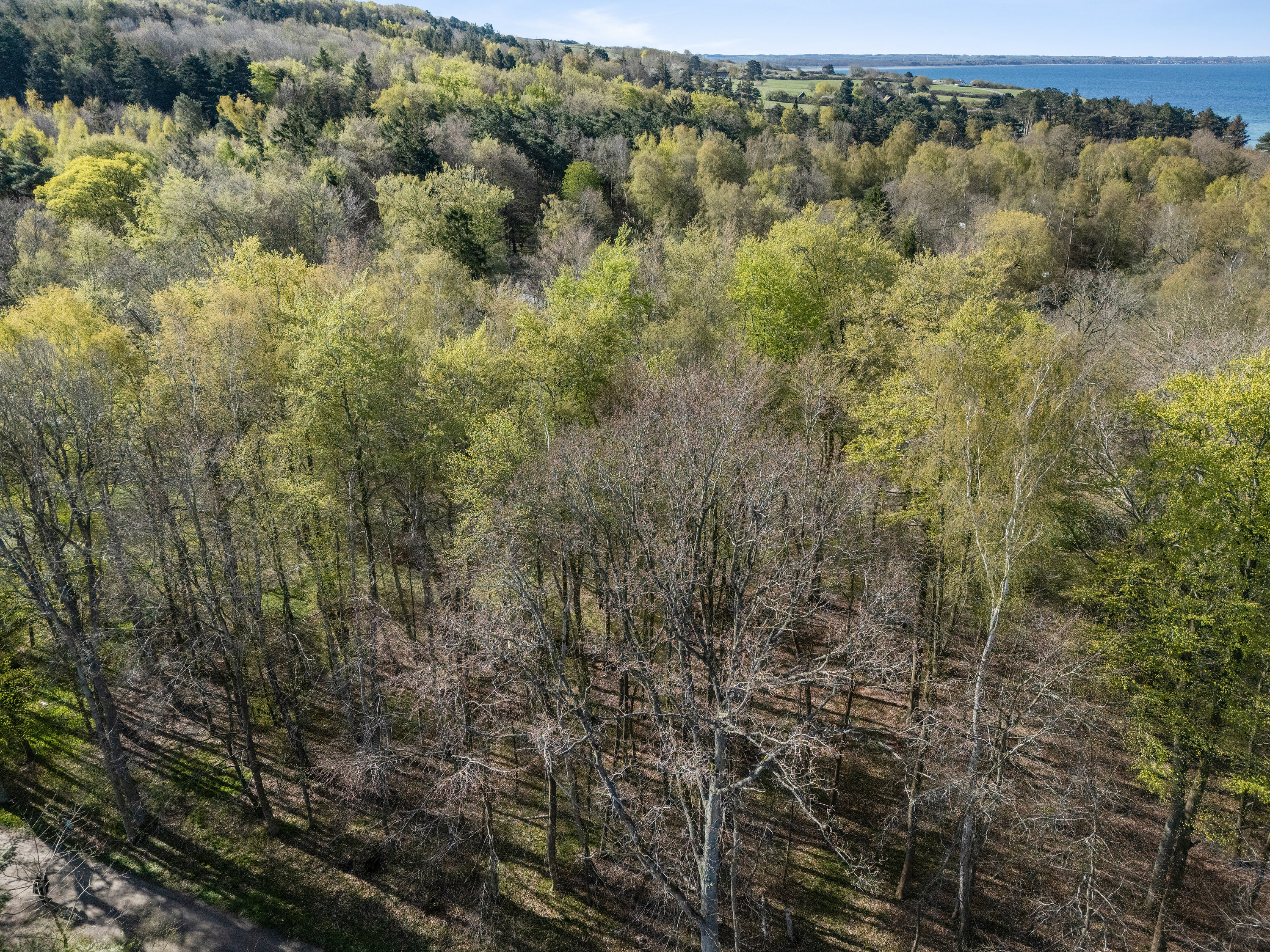 Knarbo Mose 3, Kårup Skov, 4540 Fårevejle