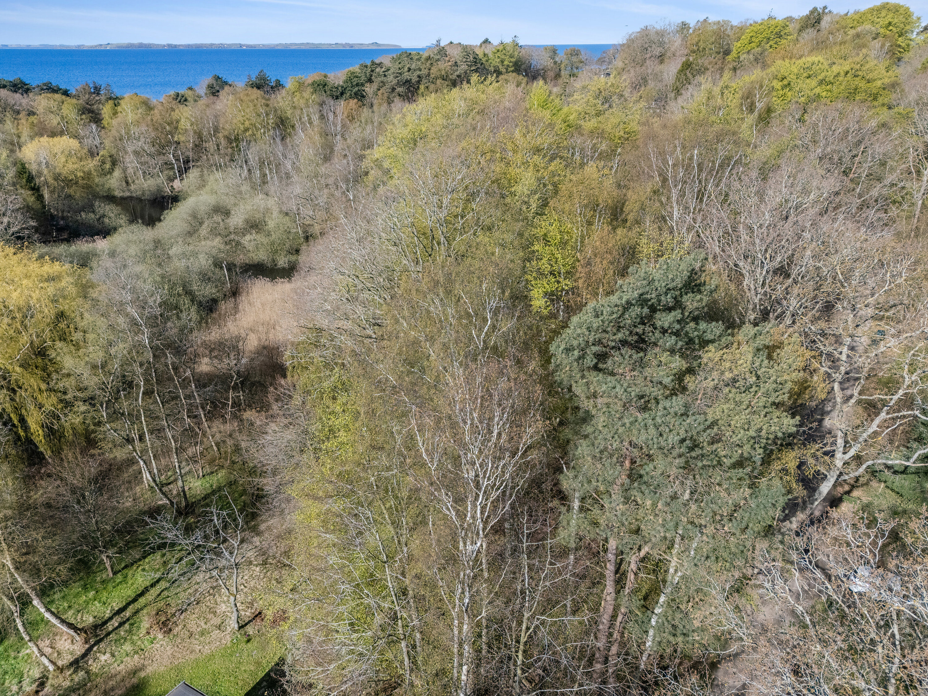 Knarbo Mose 3, Kårup Skov, 4540 Fårevejle