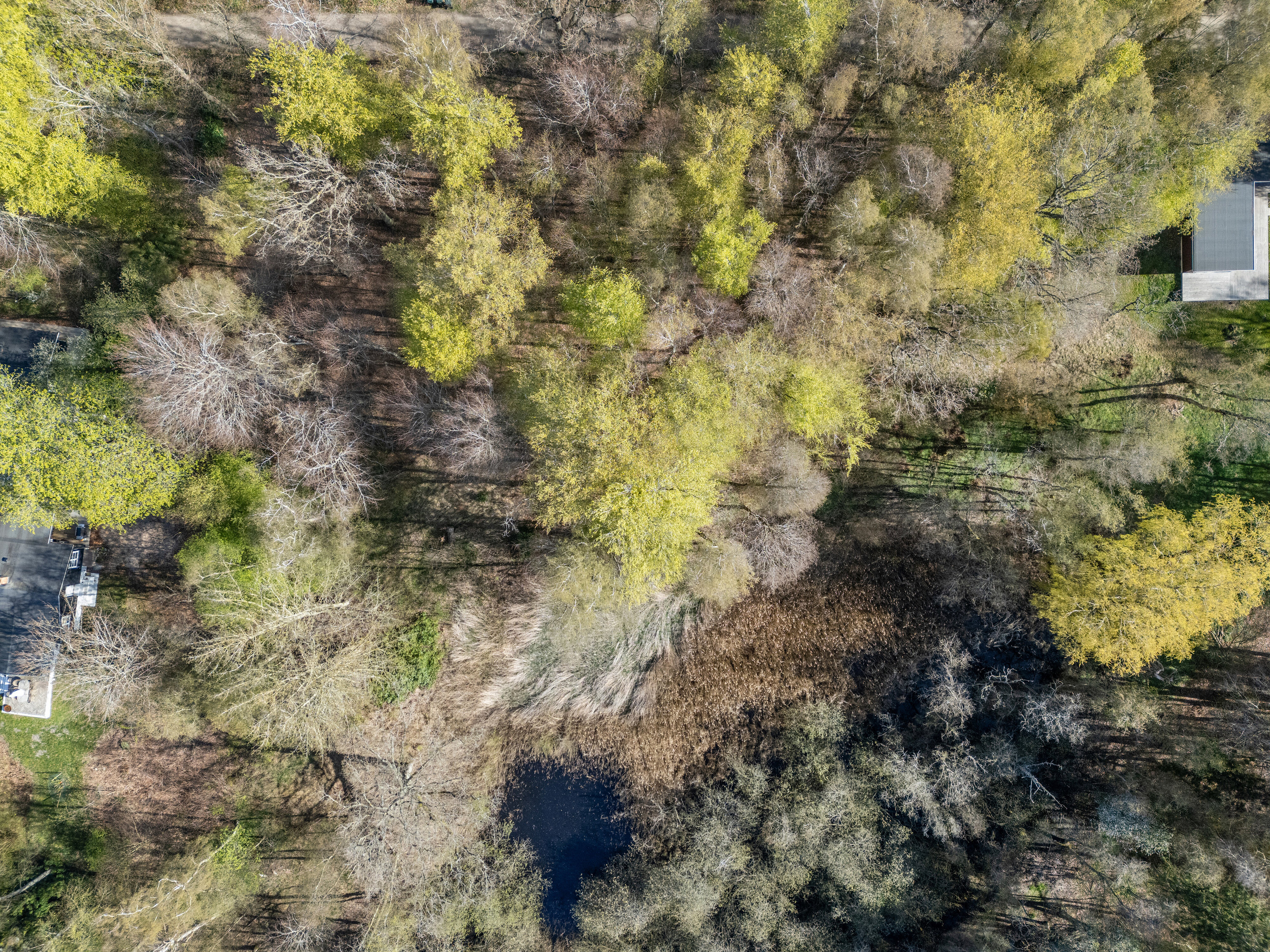 Knarbo Mose 3, Kårup Skov, 4540 Fårevejle