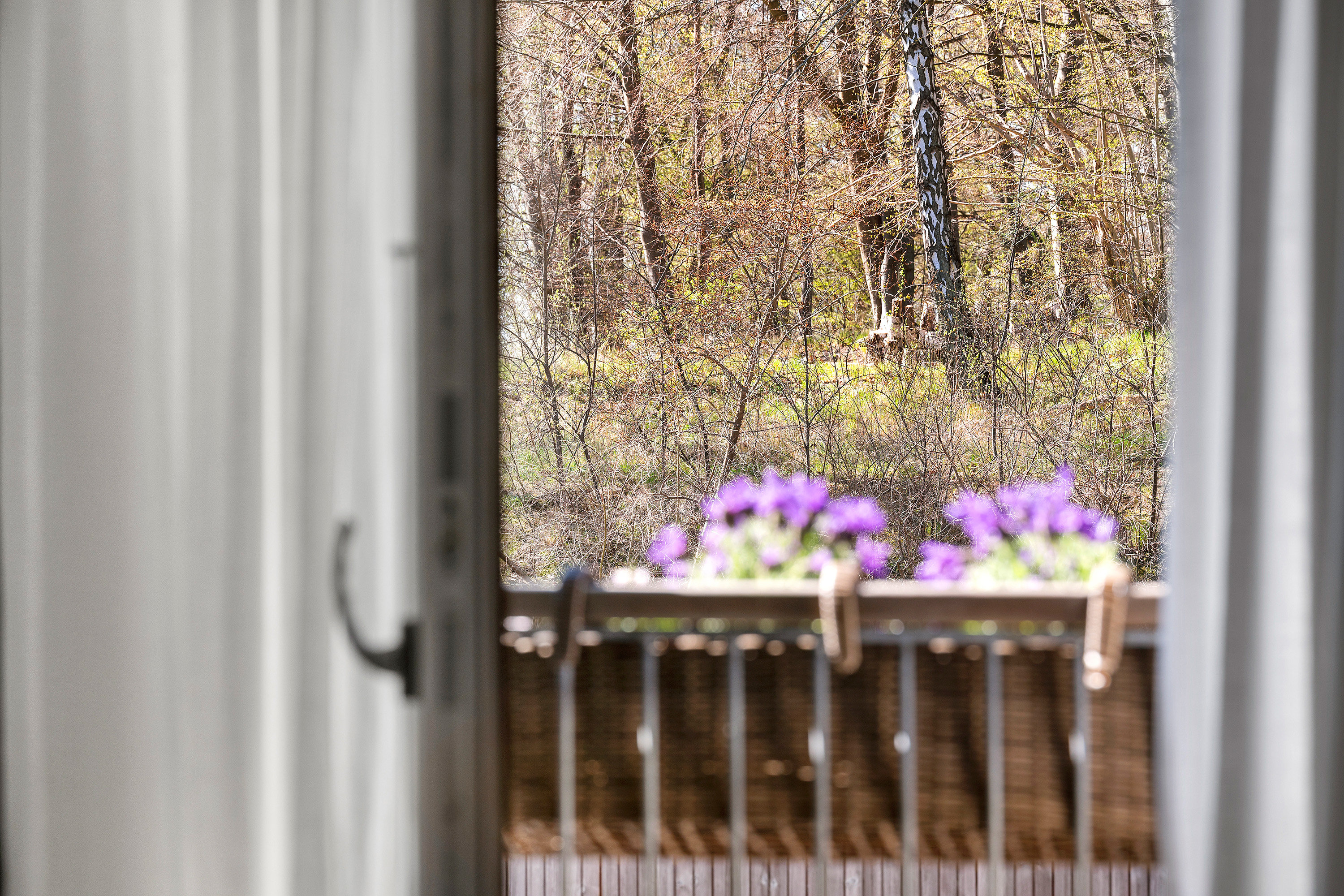 Fremhævet ejendommen billede i fuldskærmstilstand. Billede af Ralphs Vænge 24, 2950 Vedbæk