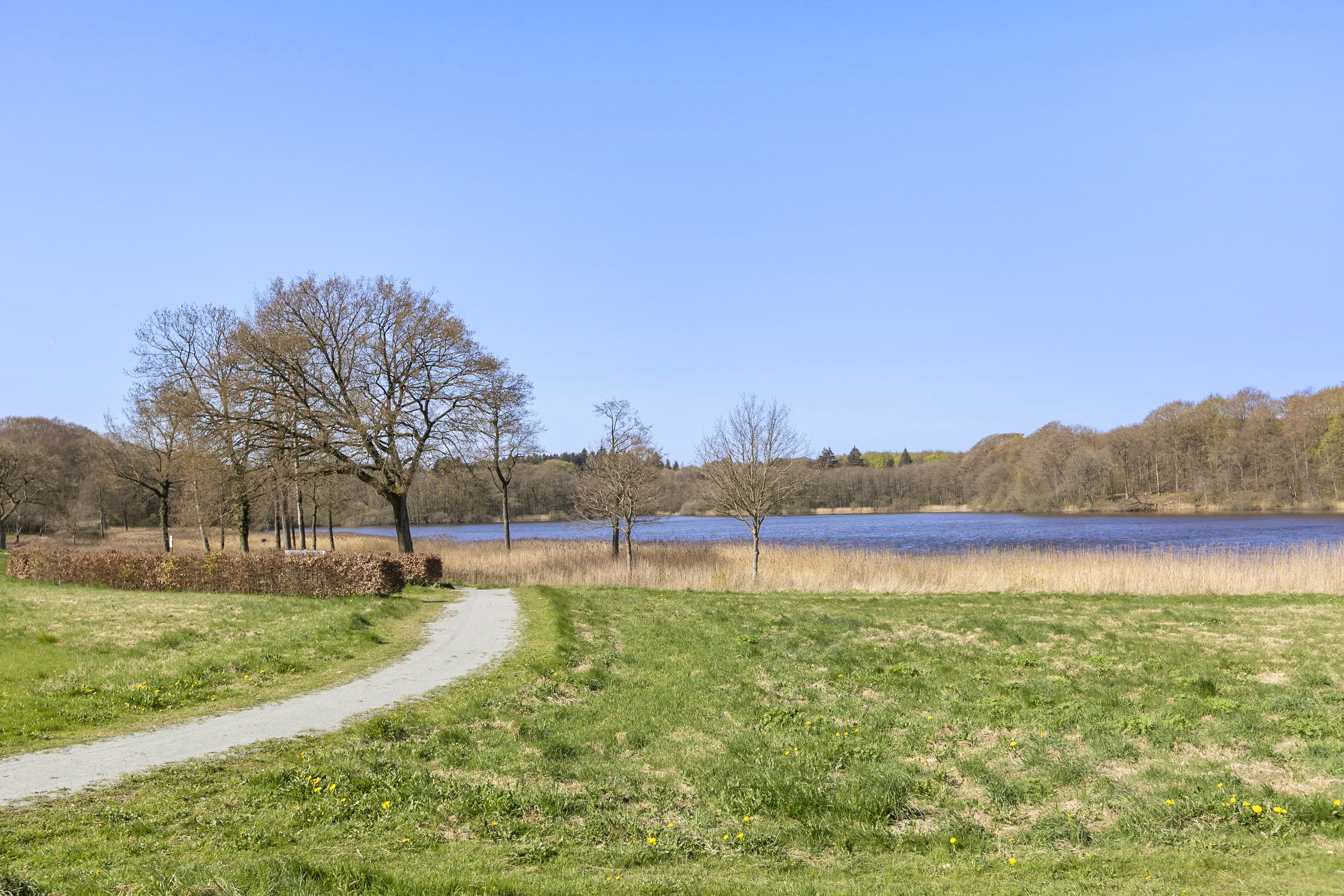Fremhævet havudsigt billede i fuldskærmstilstand. Billede af Ahlefeldtvej 18, Søgaard, 6200 Aabenraa