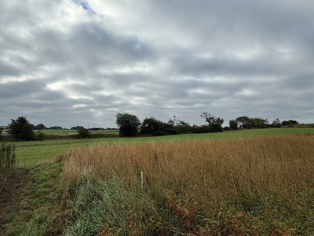 Fremhævet  billede i fuldskærmstilstand. Billede af Jakob Knudsens Vej 22, Højen, 7100 Vejle